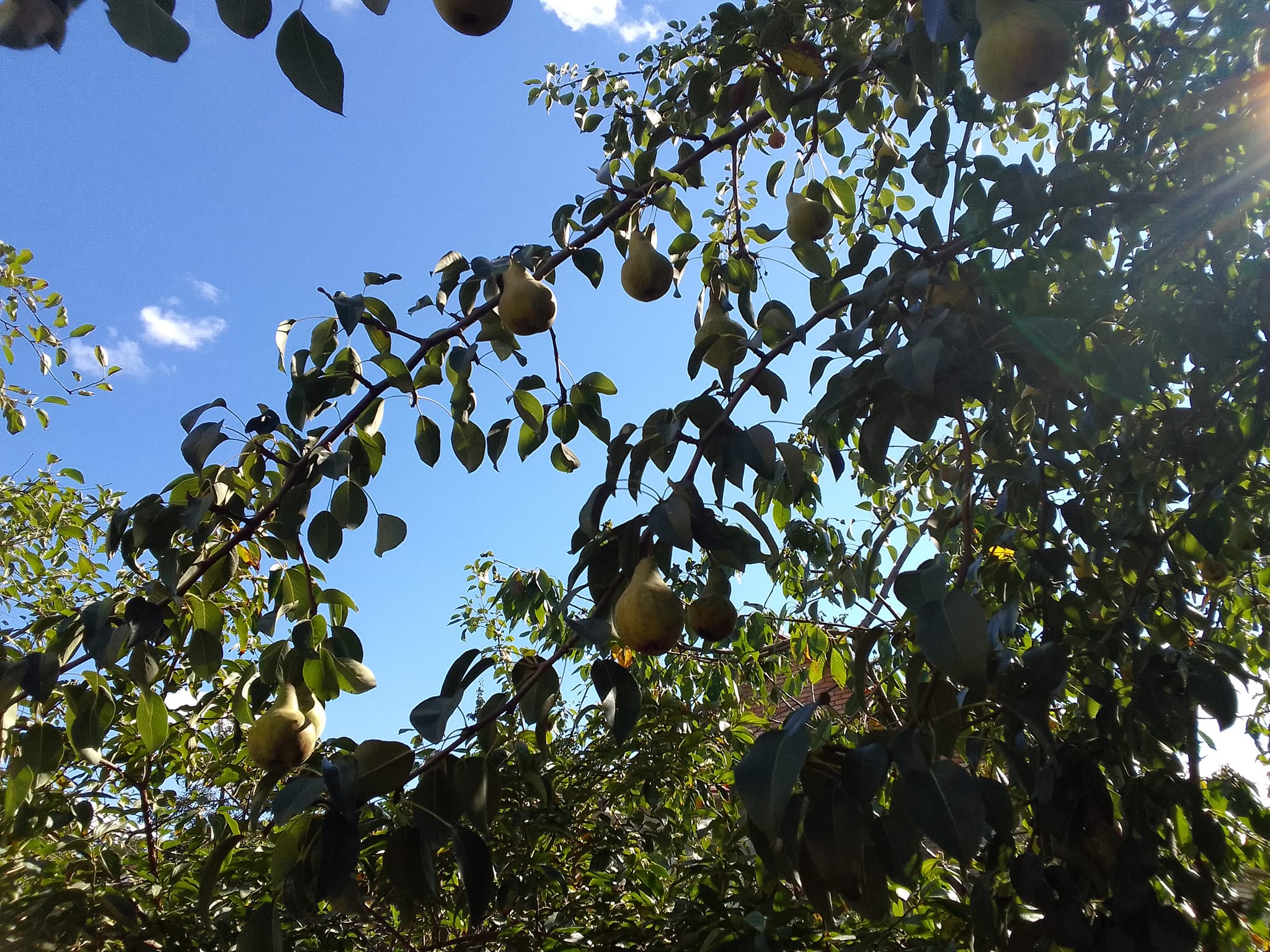 IMG_1110.jpeg
