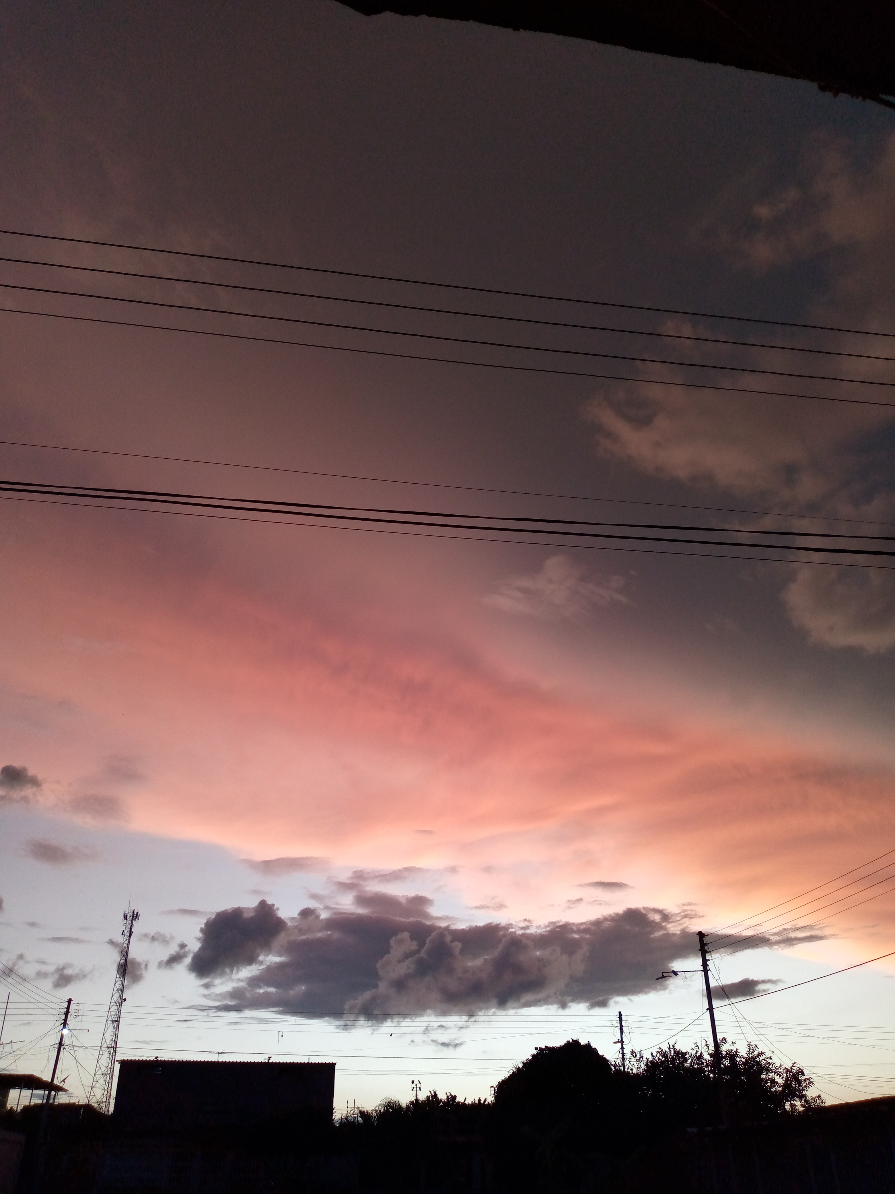 IMG_20240731_184939_156.jpg