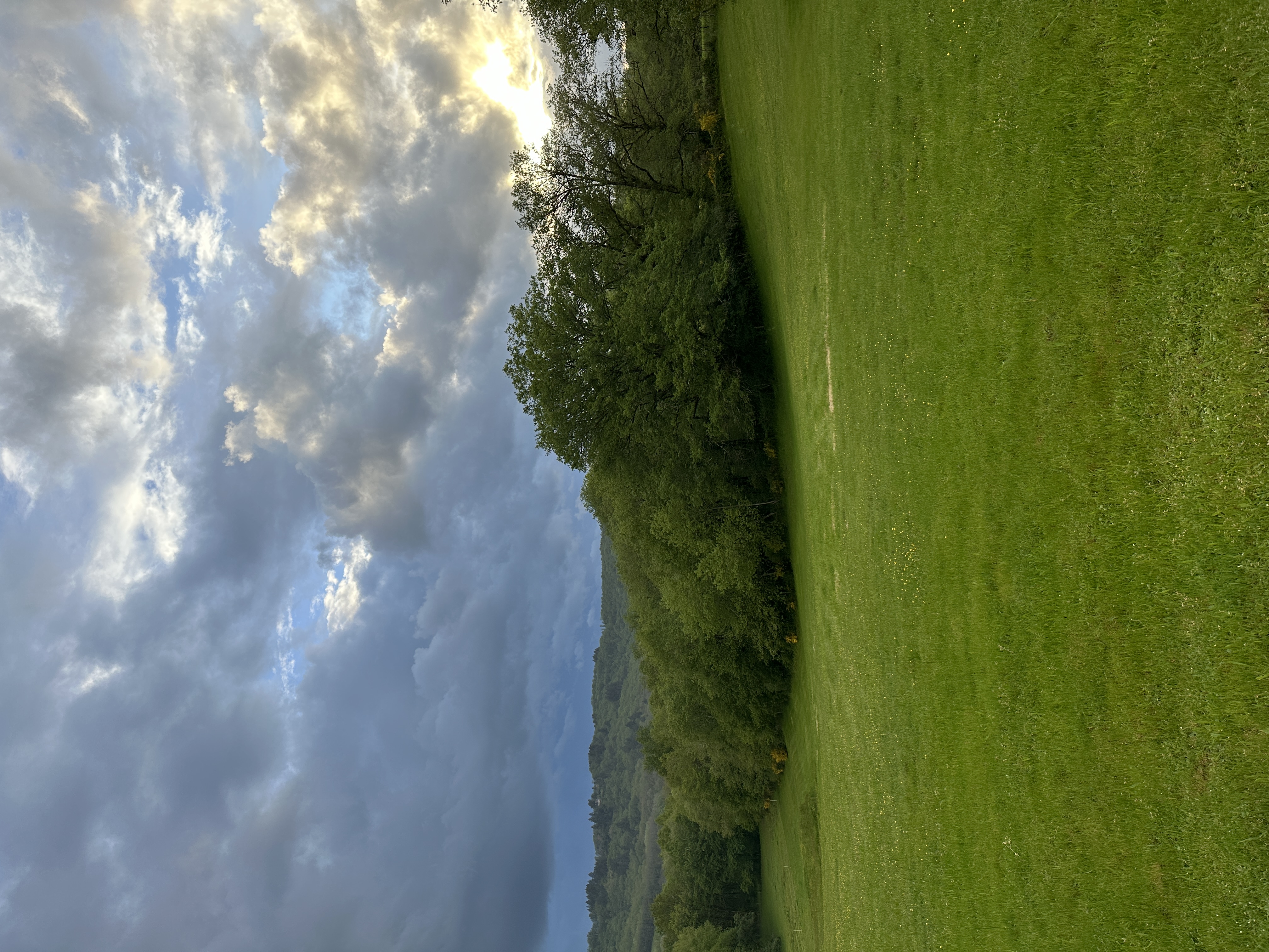 IMG_2506.jpeg