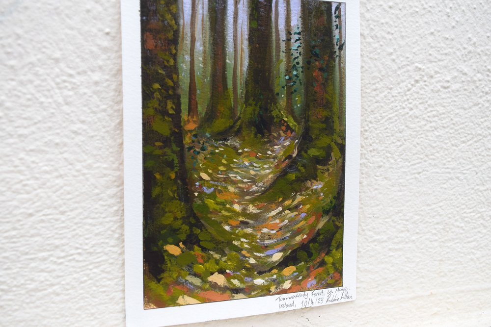 Tourmakeady-forest-painting-photo-2--version-2-forweb.jpg