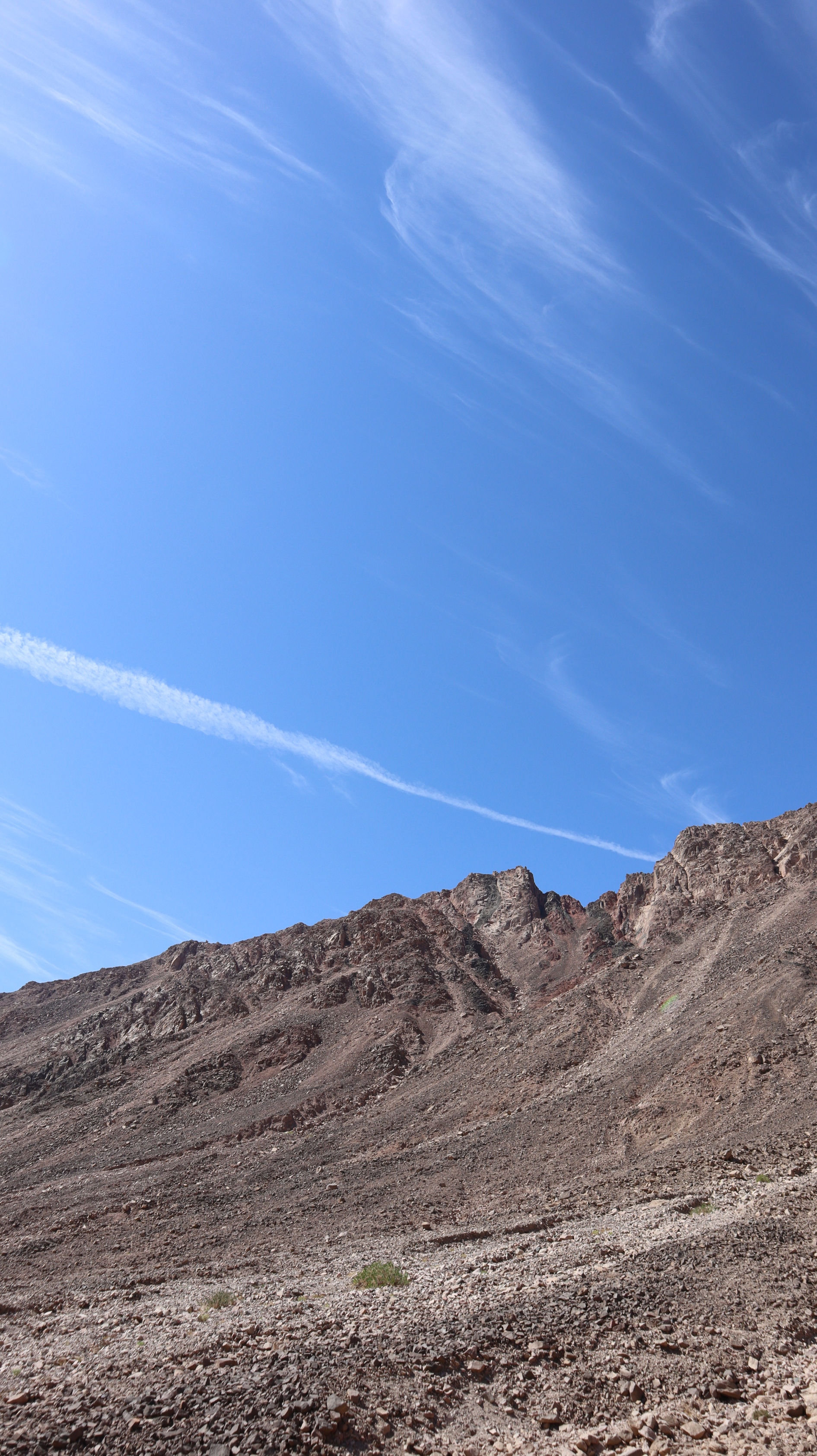 IMG_9502_copy_1891x3368.jpg