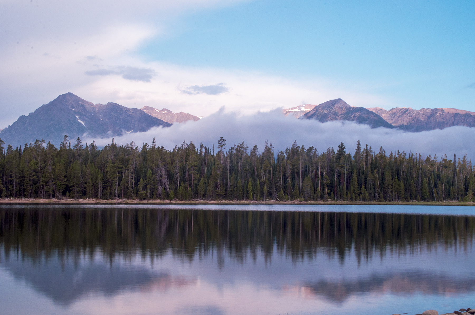 Jackson lake morning 3.jpg