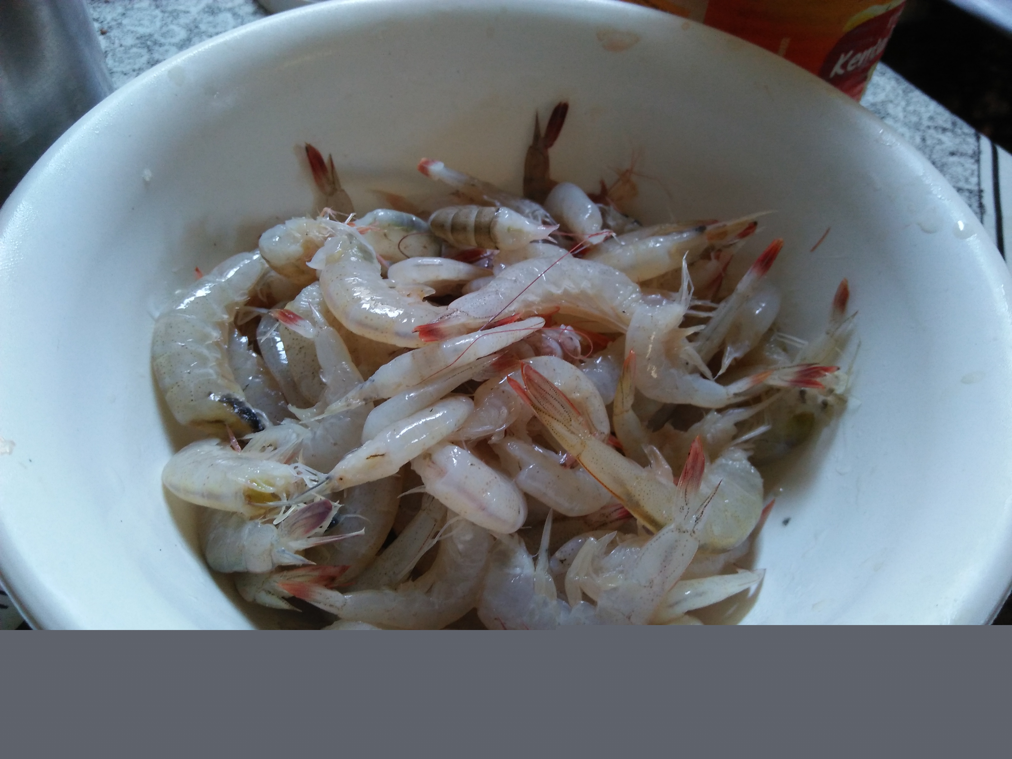 IMG20250429132435.jpg