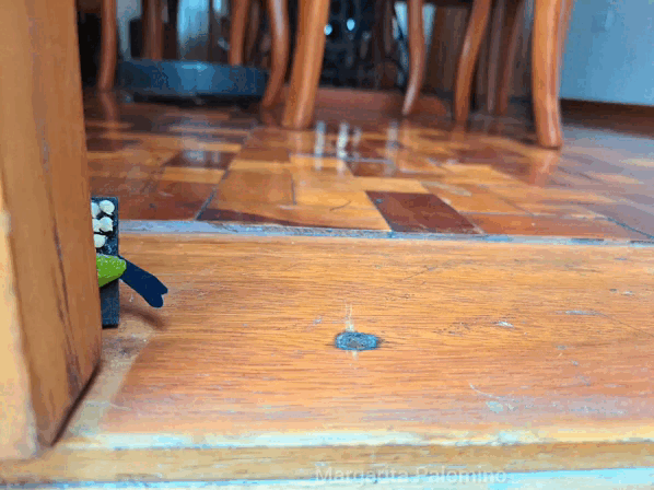 1000006378.gif