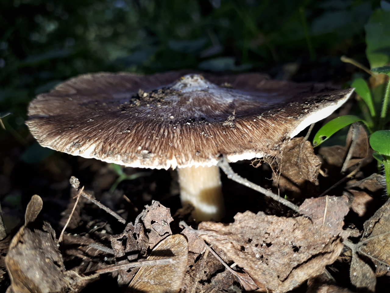 20221002_105438.jpg
