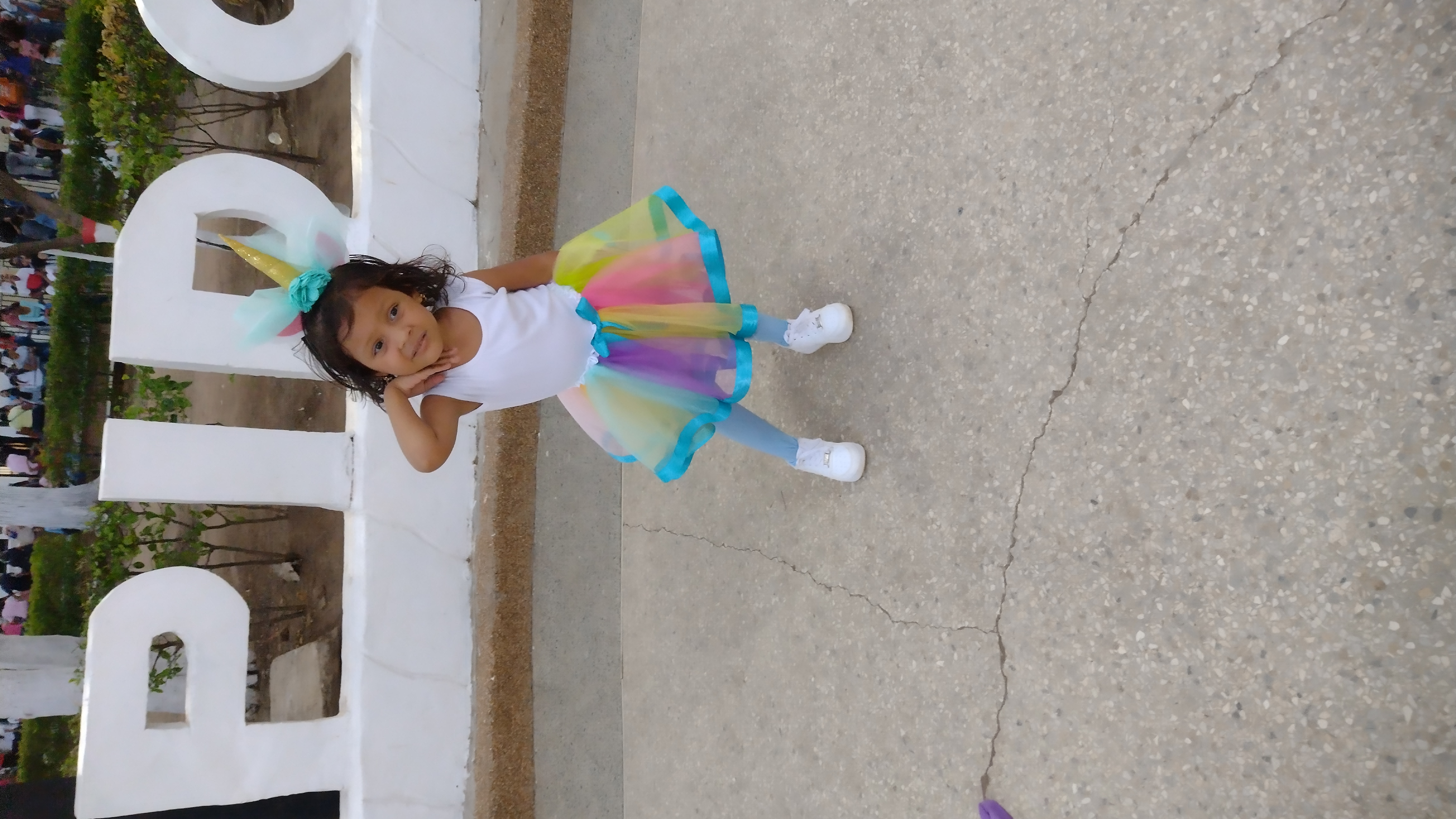 IMG_20250228_184428447.jpg