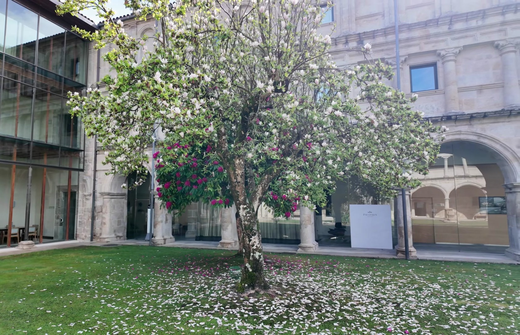 112.jpg