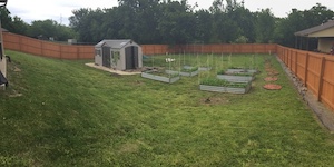 yard5.JPG