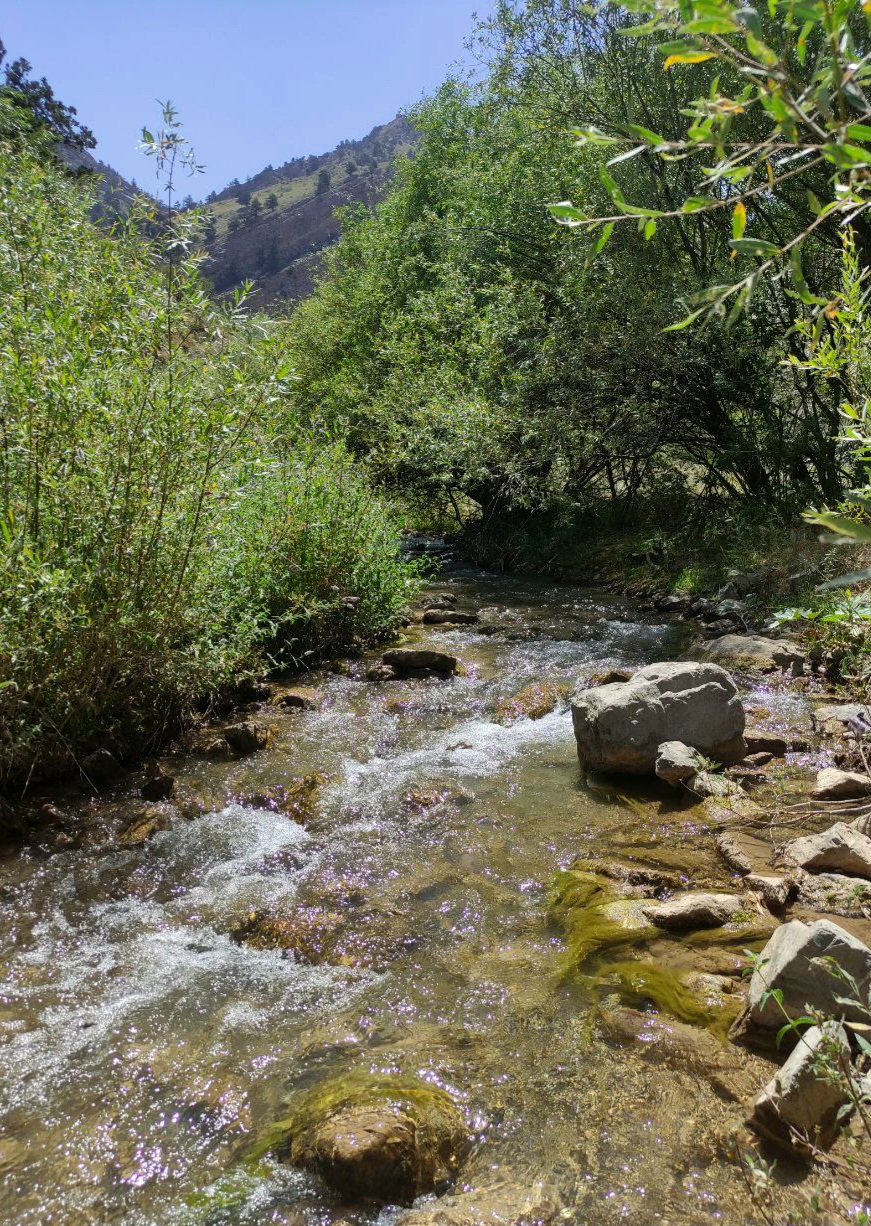 IMG_20250708_101055_672.jpg