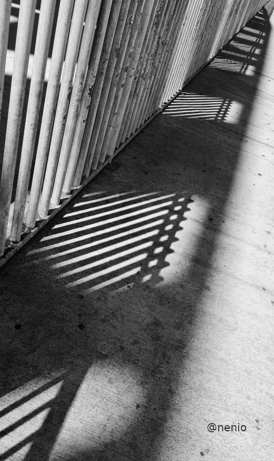 shadows-fence-004-bw.jpg
