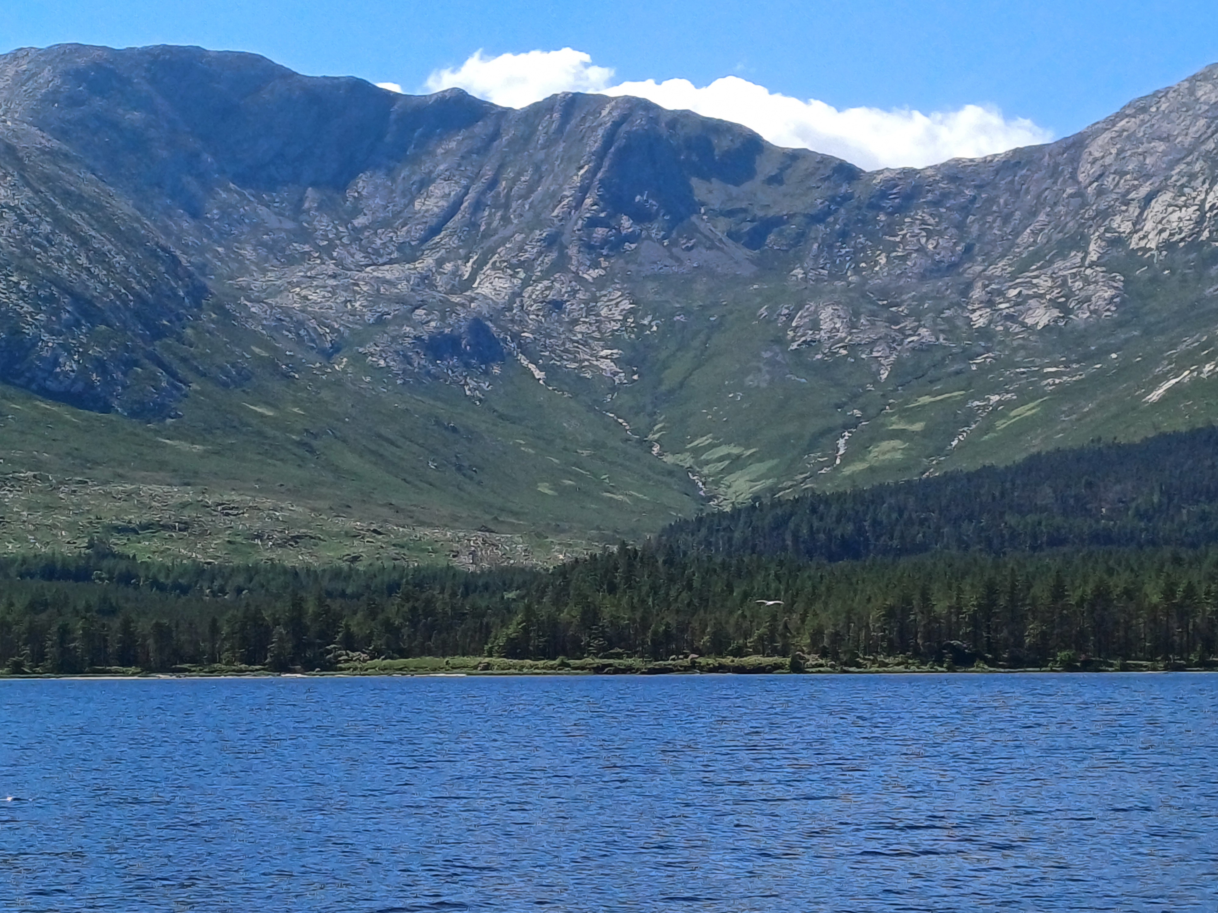 20250518_144209.jpg