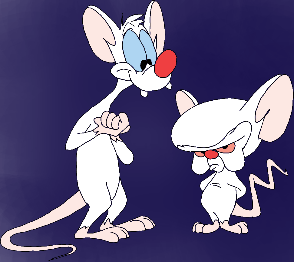 pinky and the brain3.png