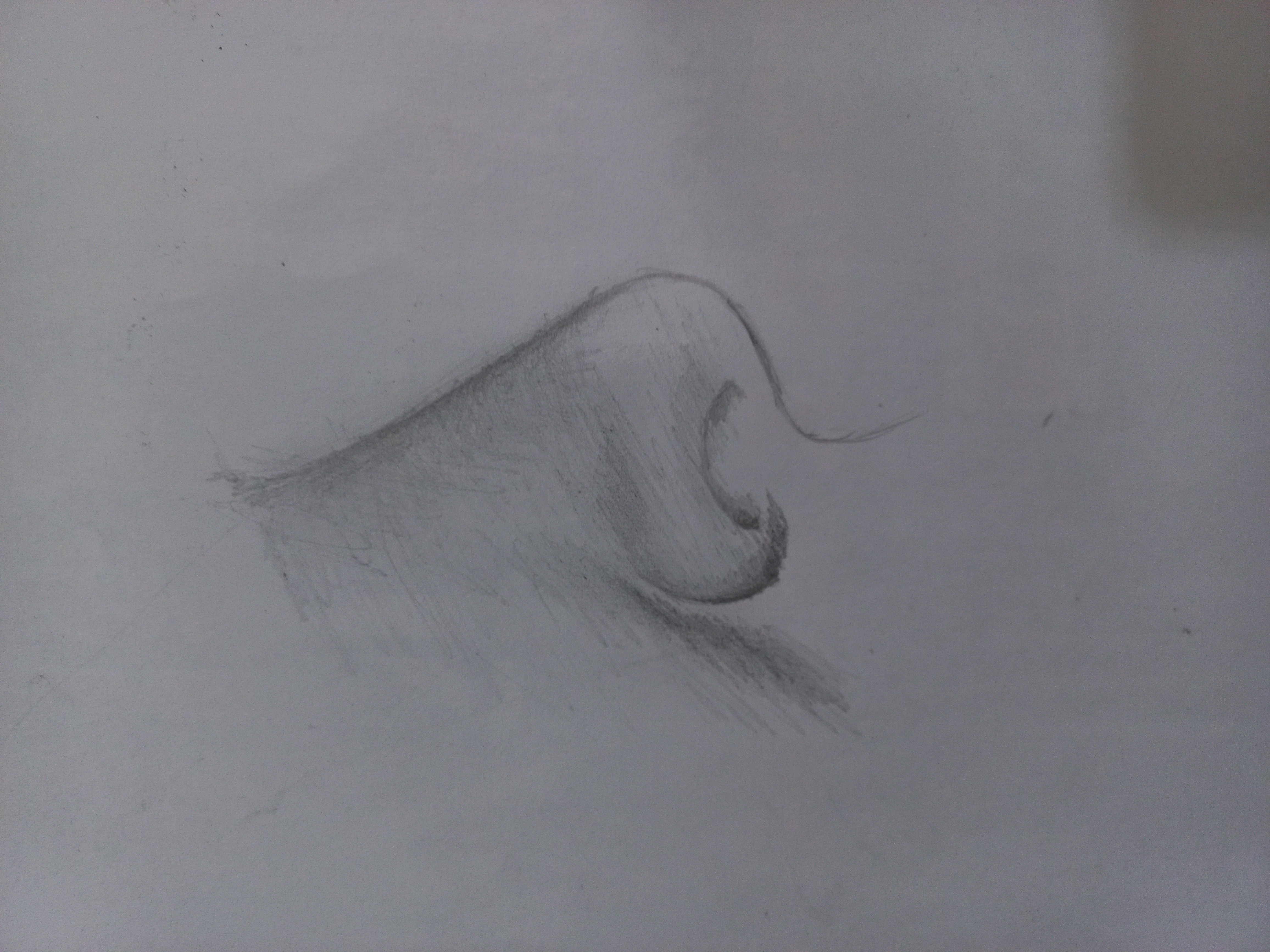 20220804_171243.jpg