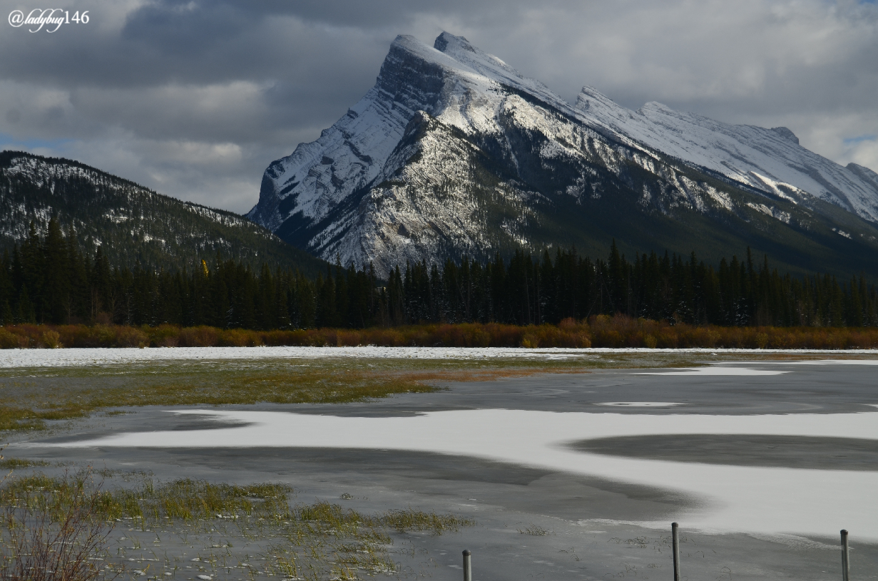 mount rundle (2).jpg