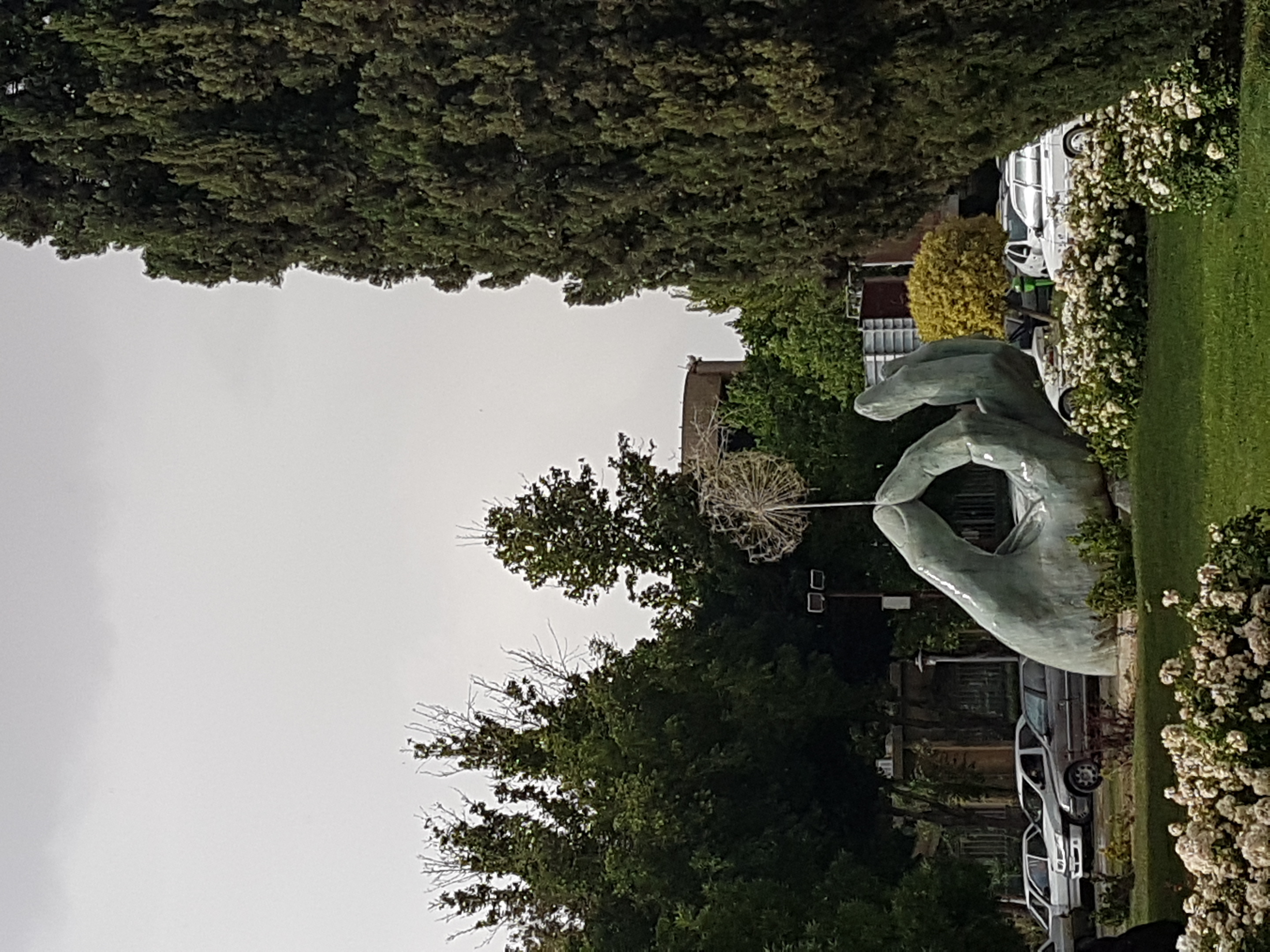 20180504_172307.jpg