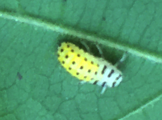 IMG_9315s.png