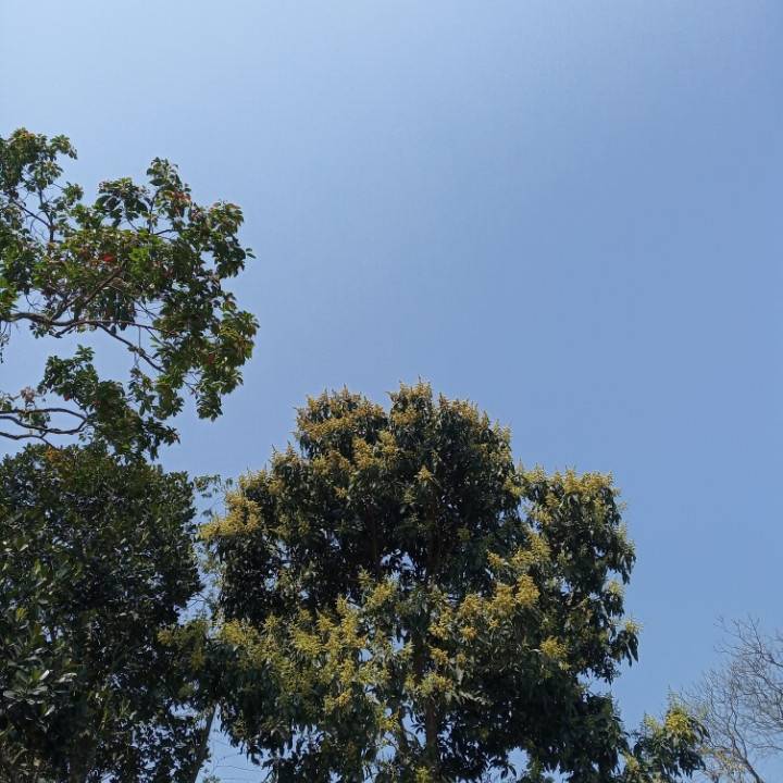 20220412_163014_308.png