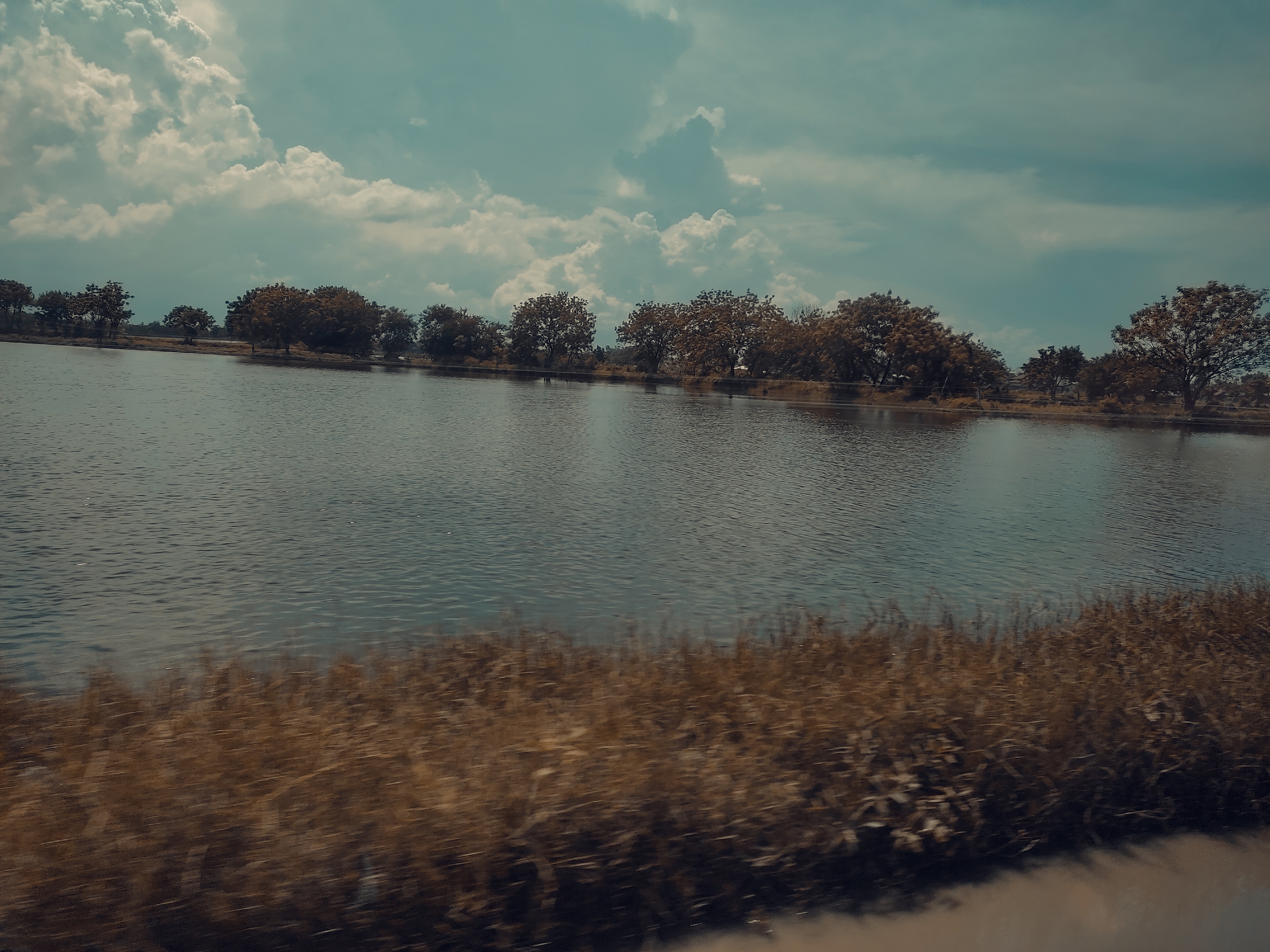 IMG_20250830_145656.jpg