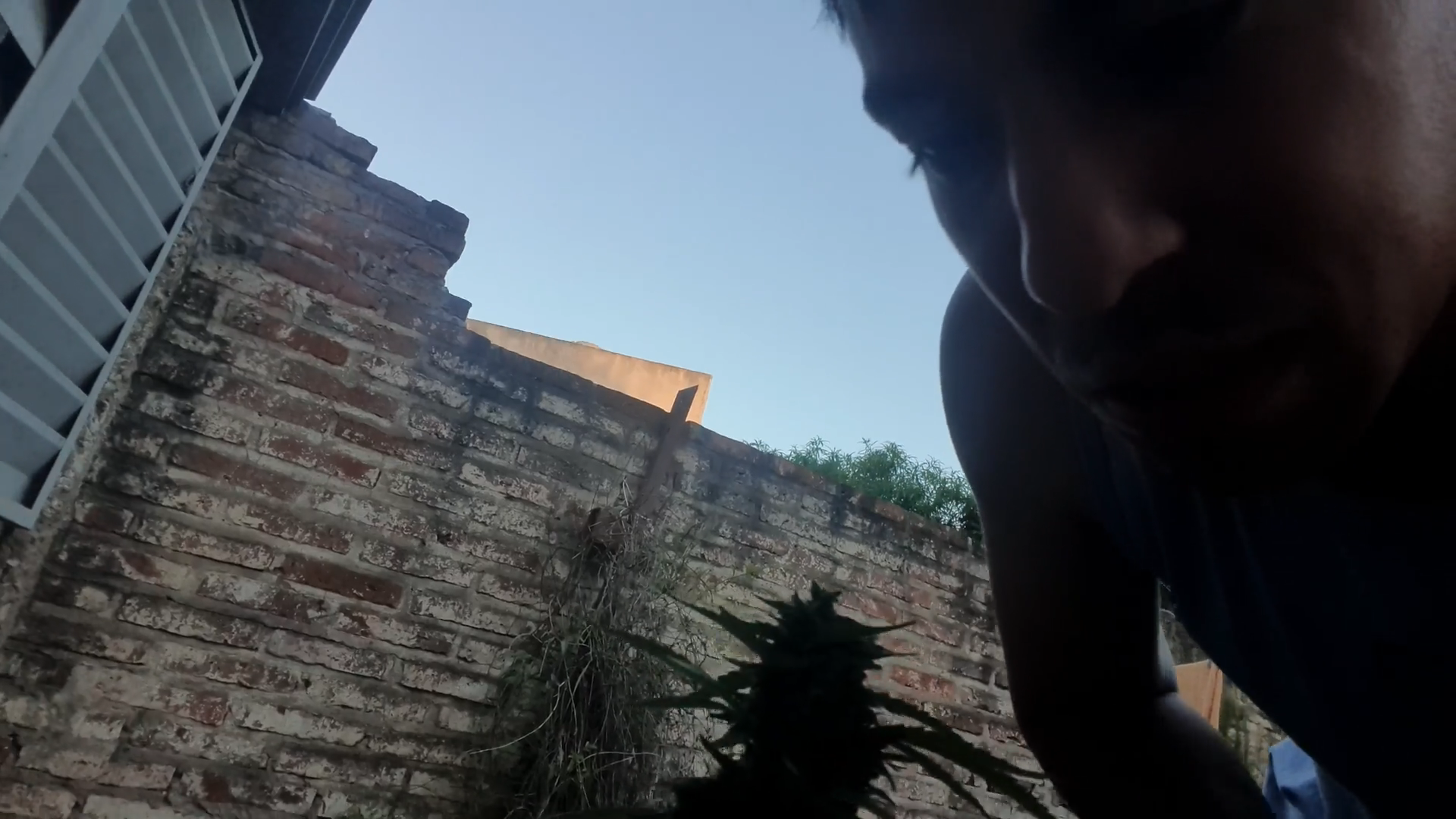 Screenshot (358).png