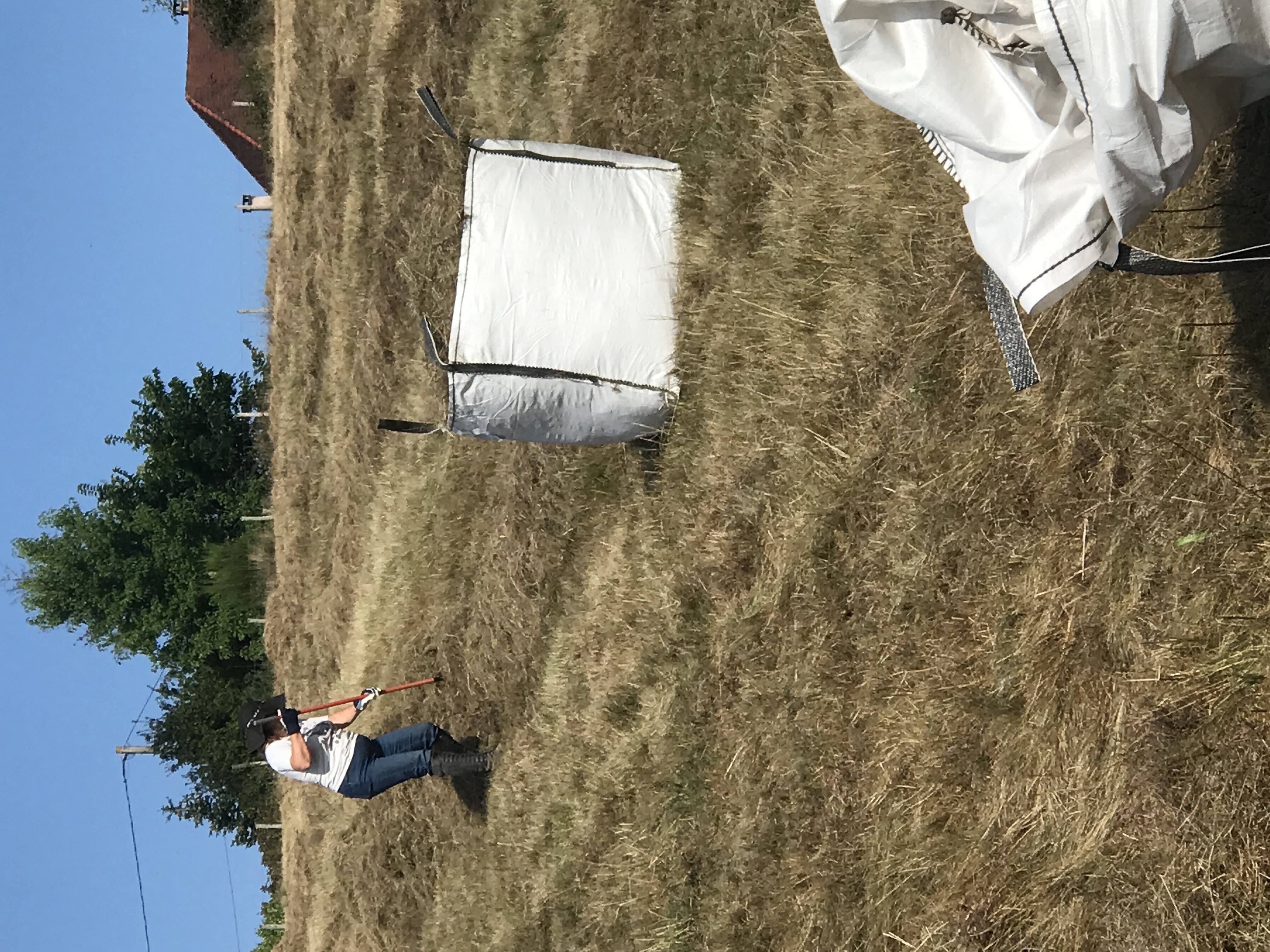 IMG_7647 3.jpeg
