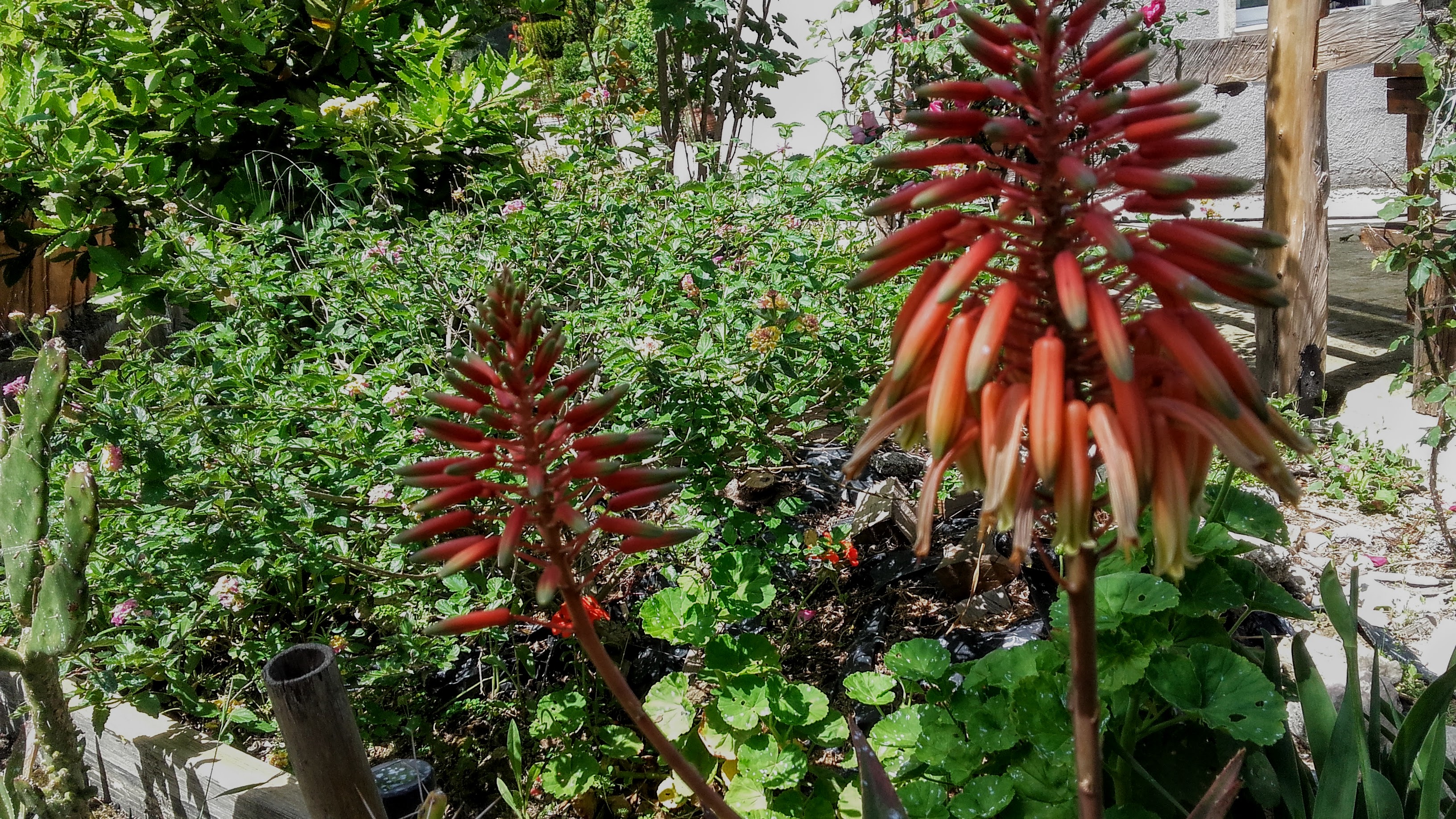 20210518_122624.jpg
