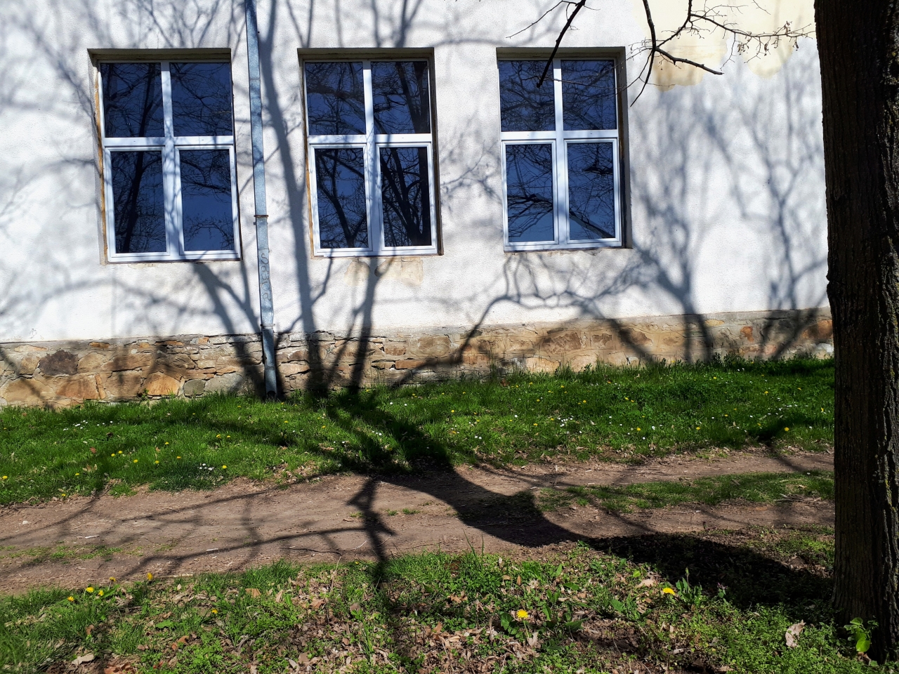 20220415_095259.jpg