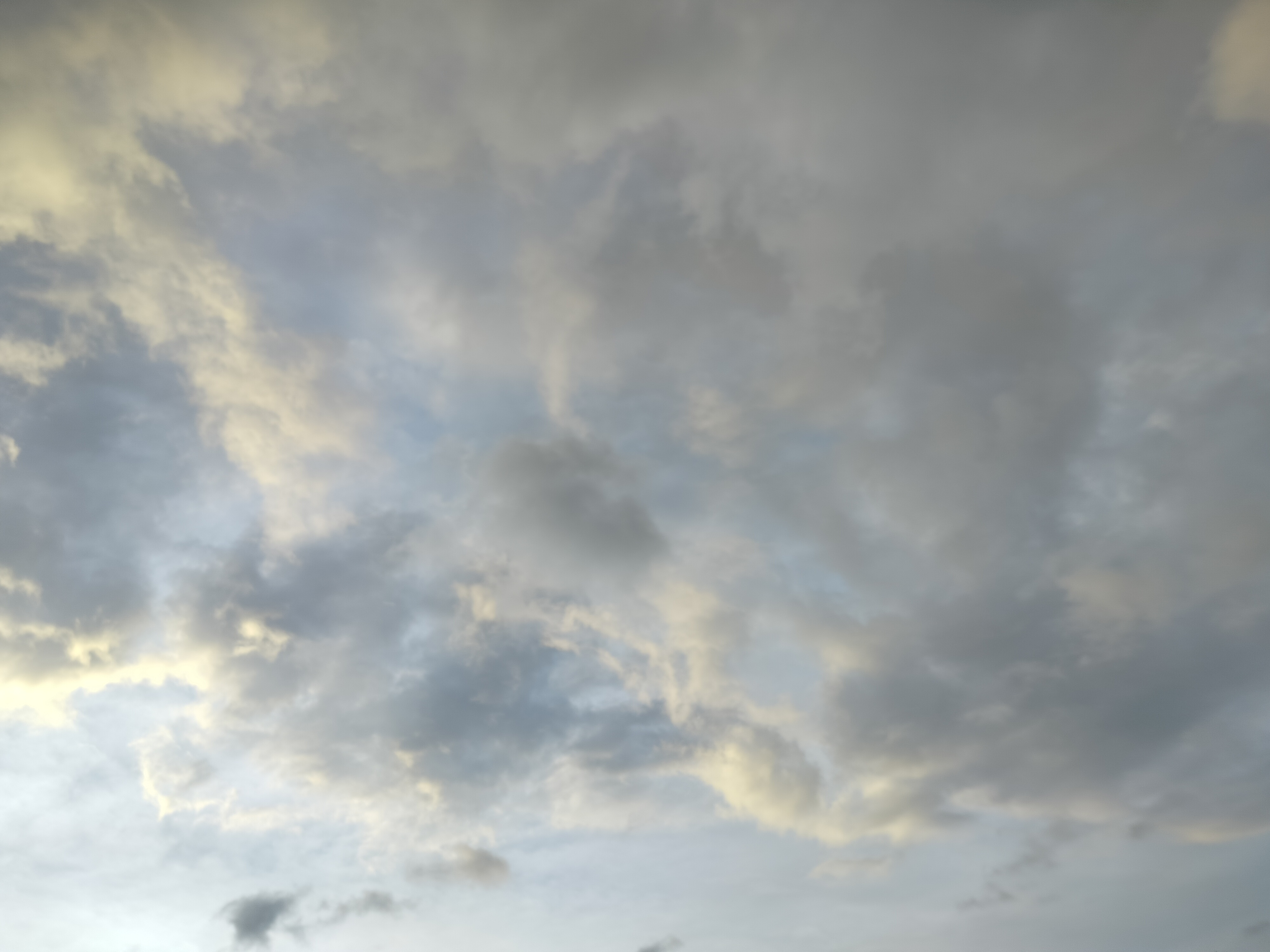 IMG20250629182526.jpg