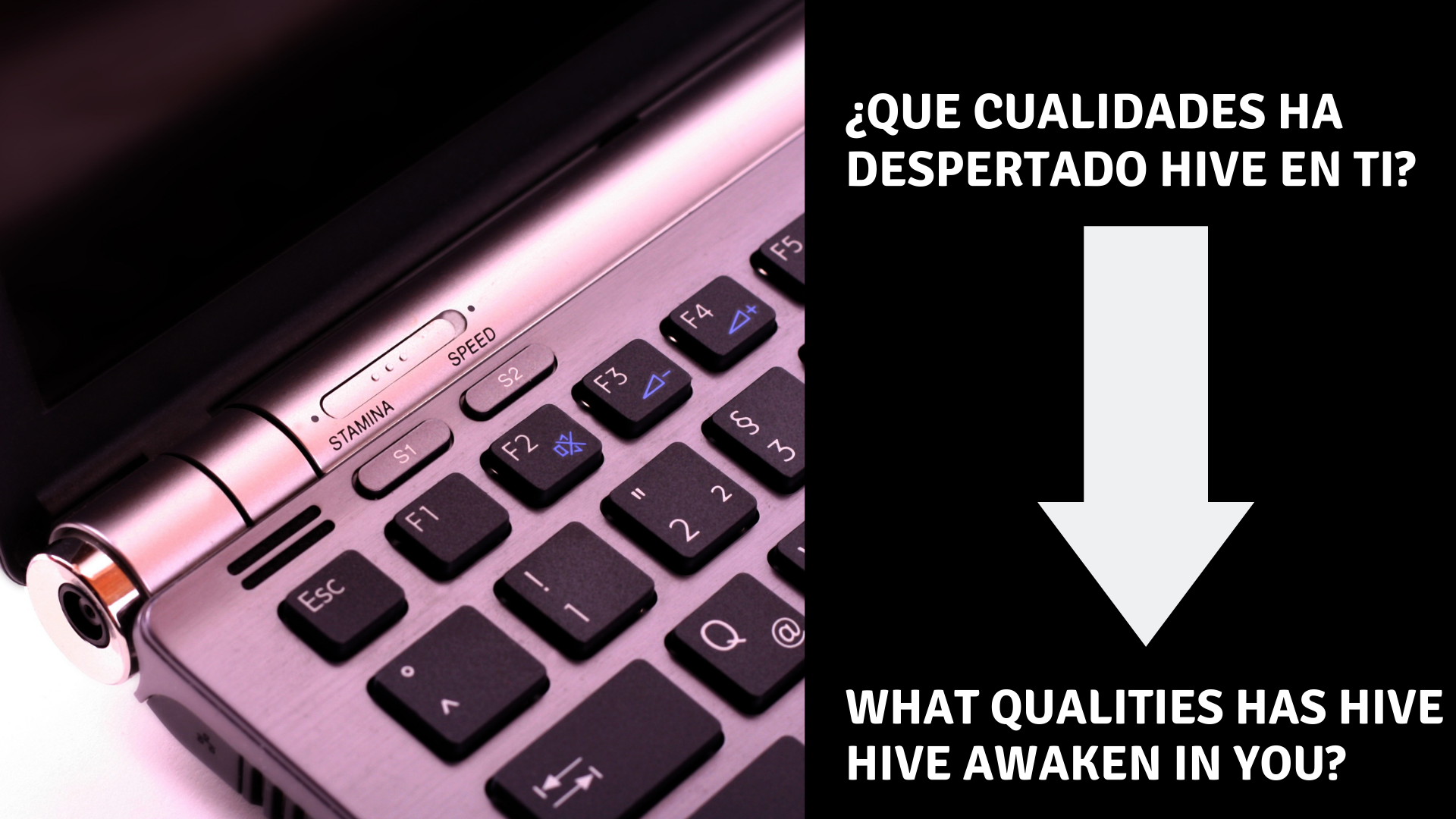 ¿Que cualidades ha despertado hive en ti.png