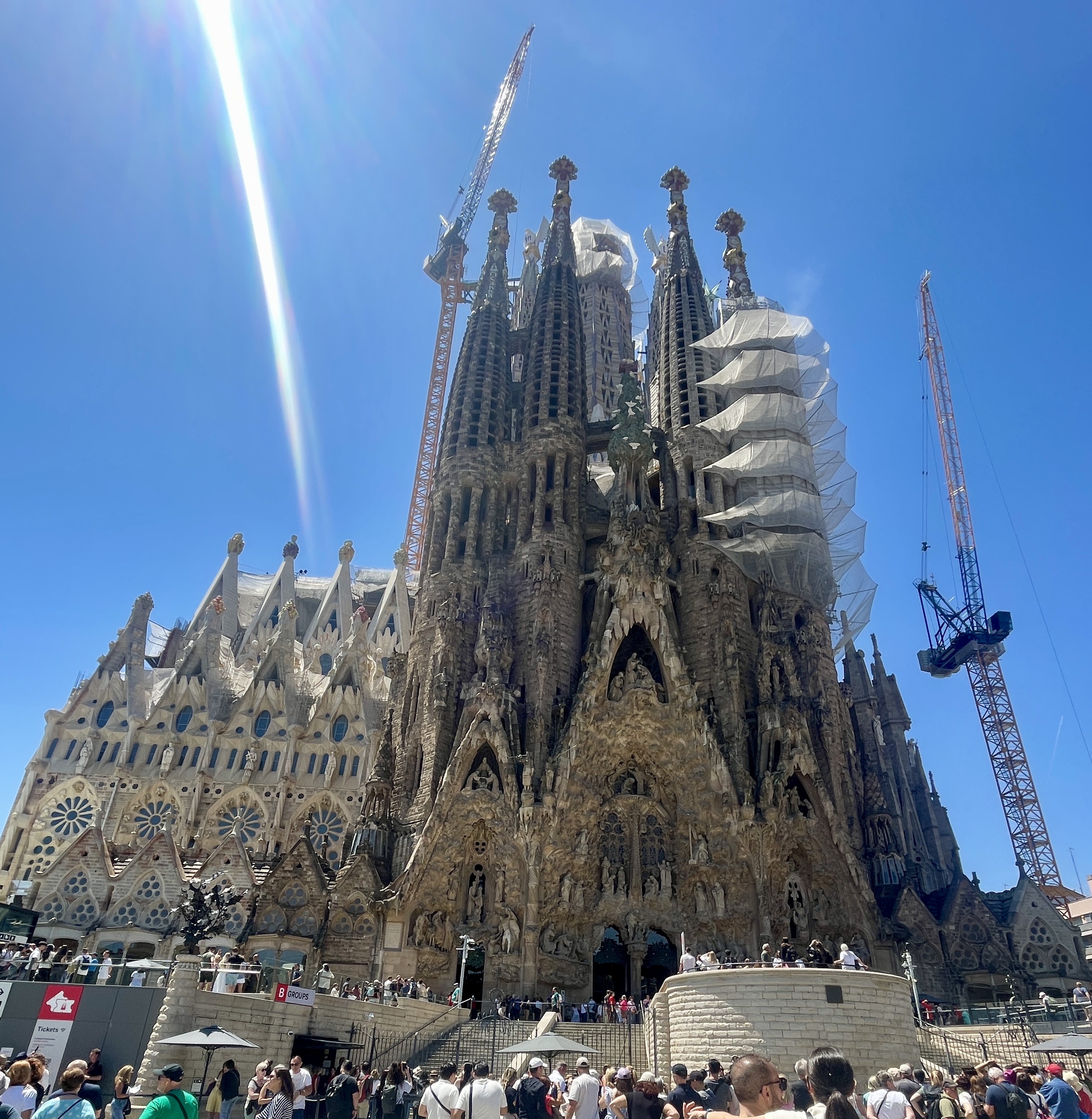 IMG_5506.jpeg