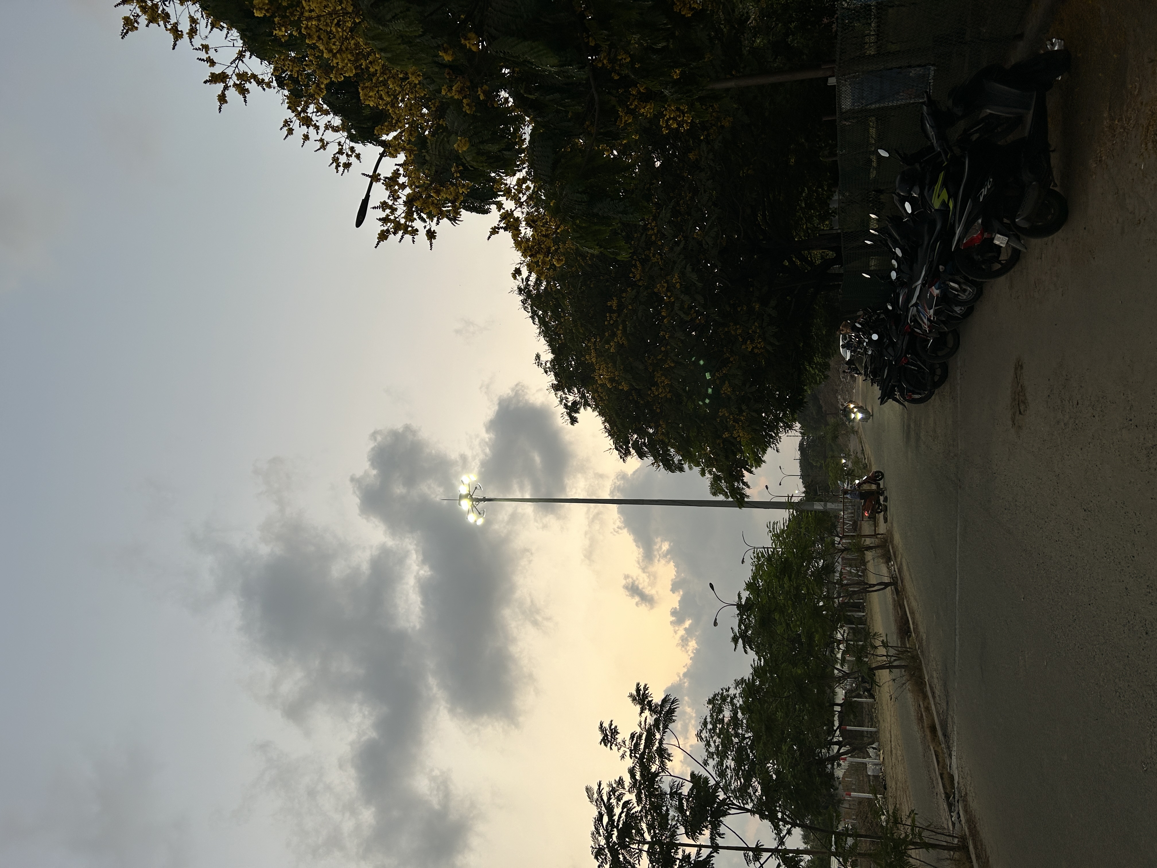 IMG_1247.jpeg