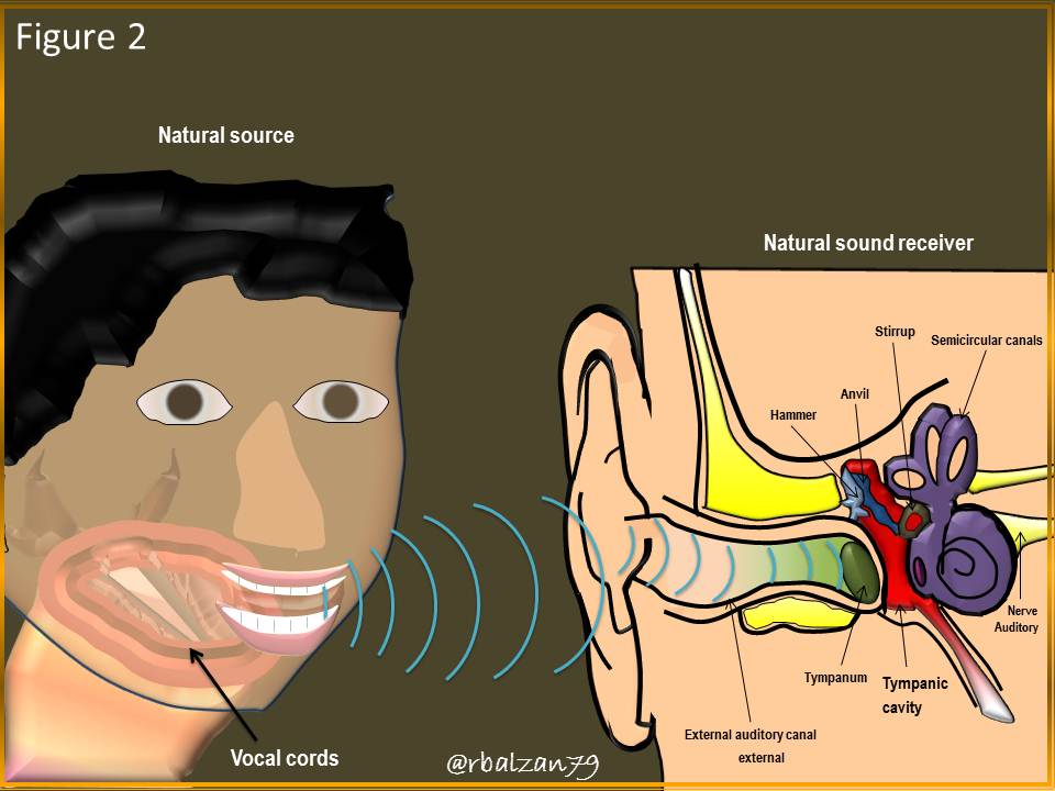 Figure_2.JPG