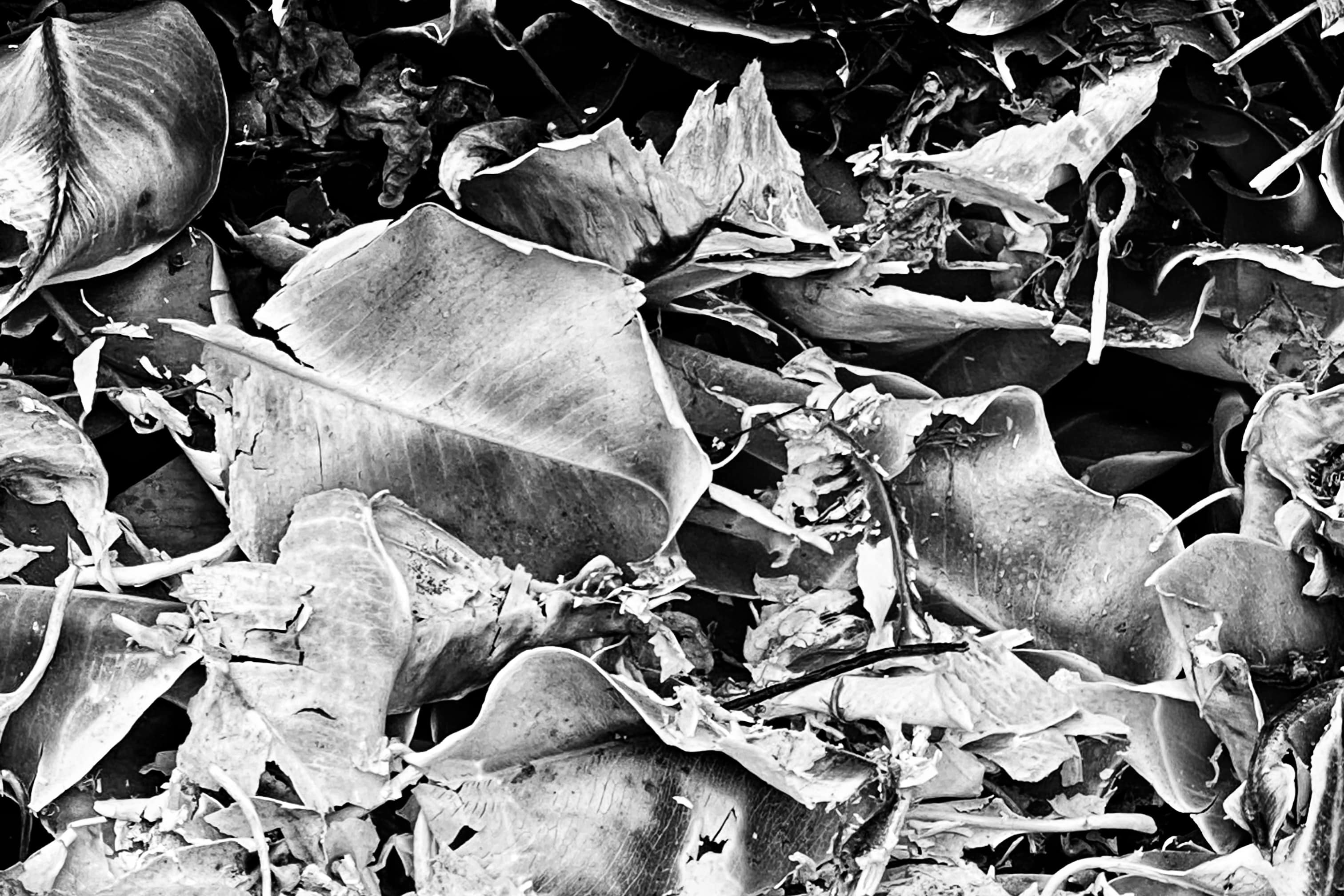image00002 (5)-04-min.jpeg