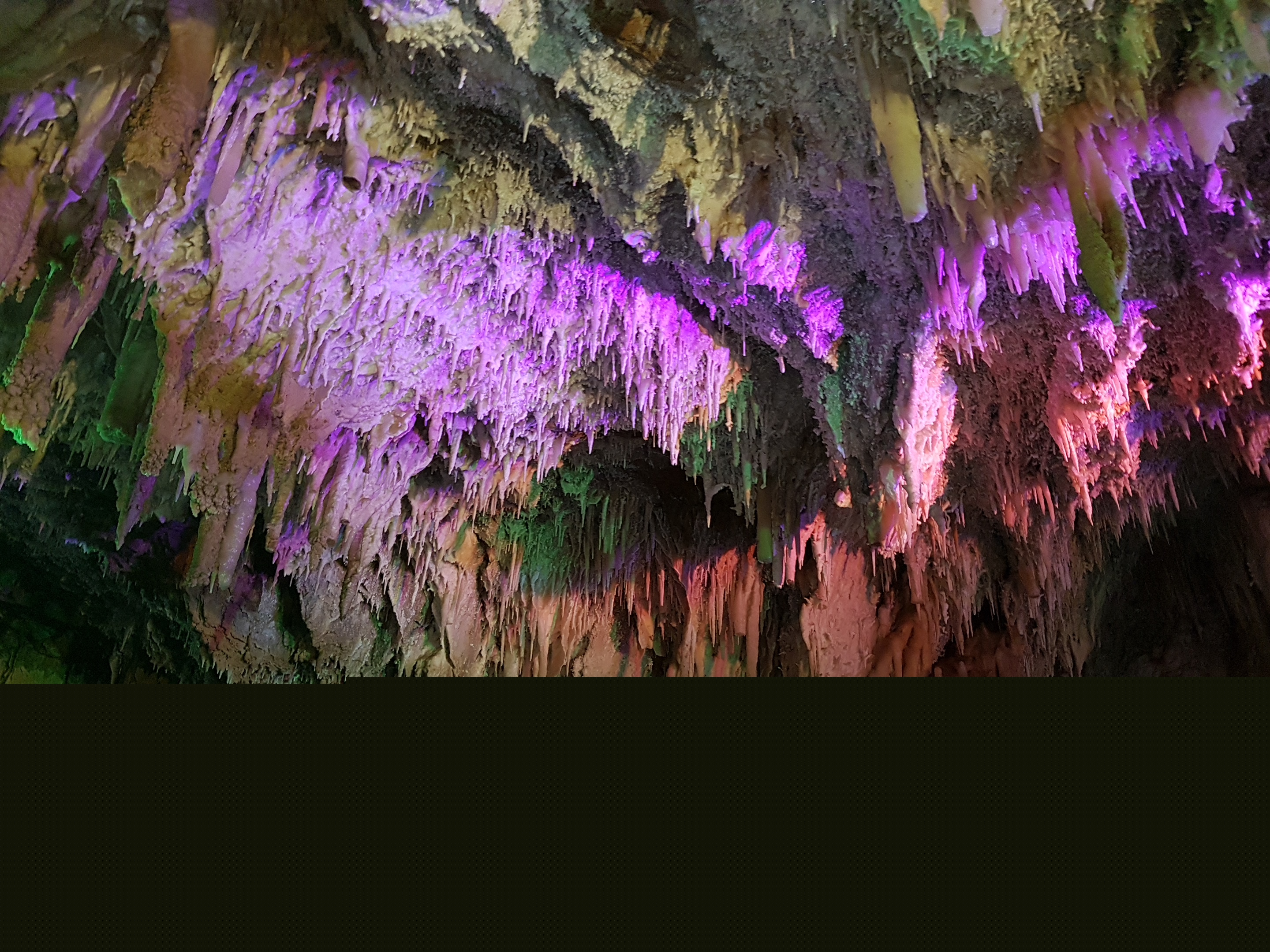 20180501_091951.jpg