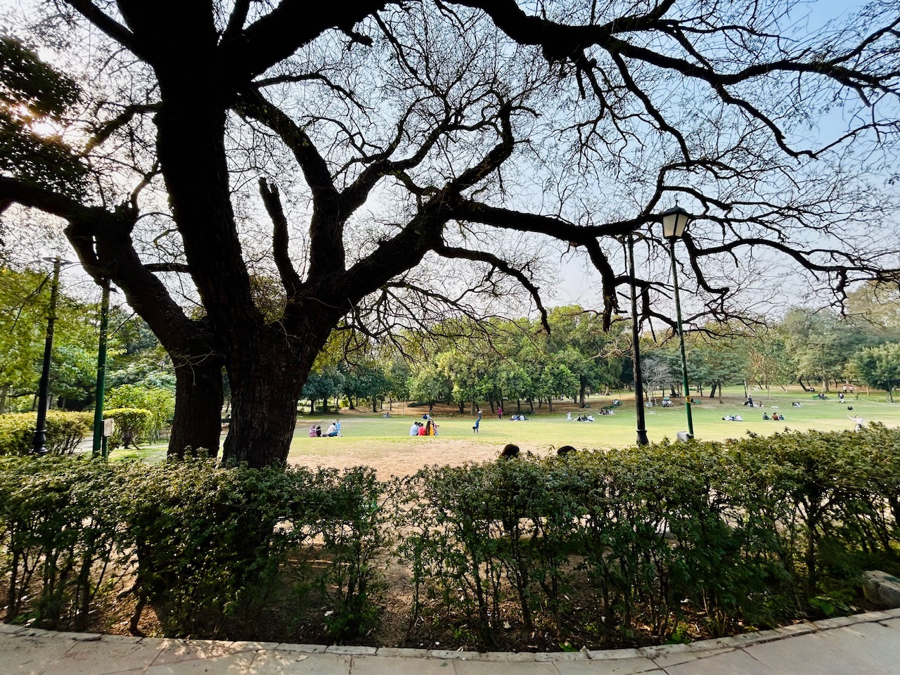 IMG_8662.jpeg