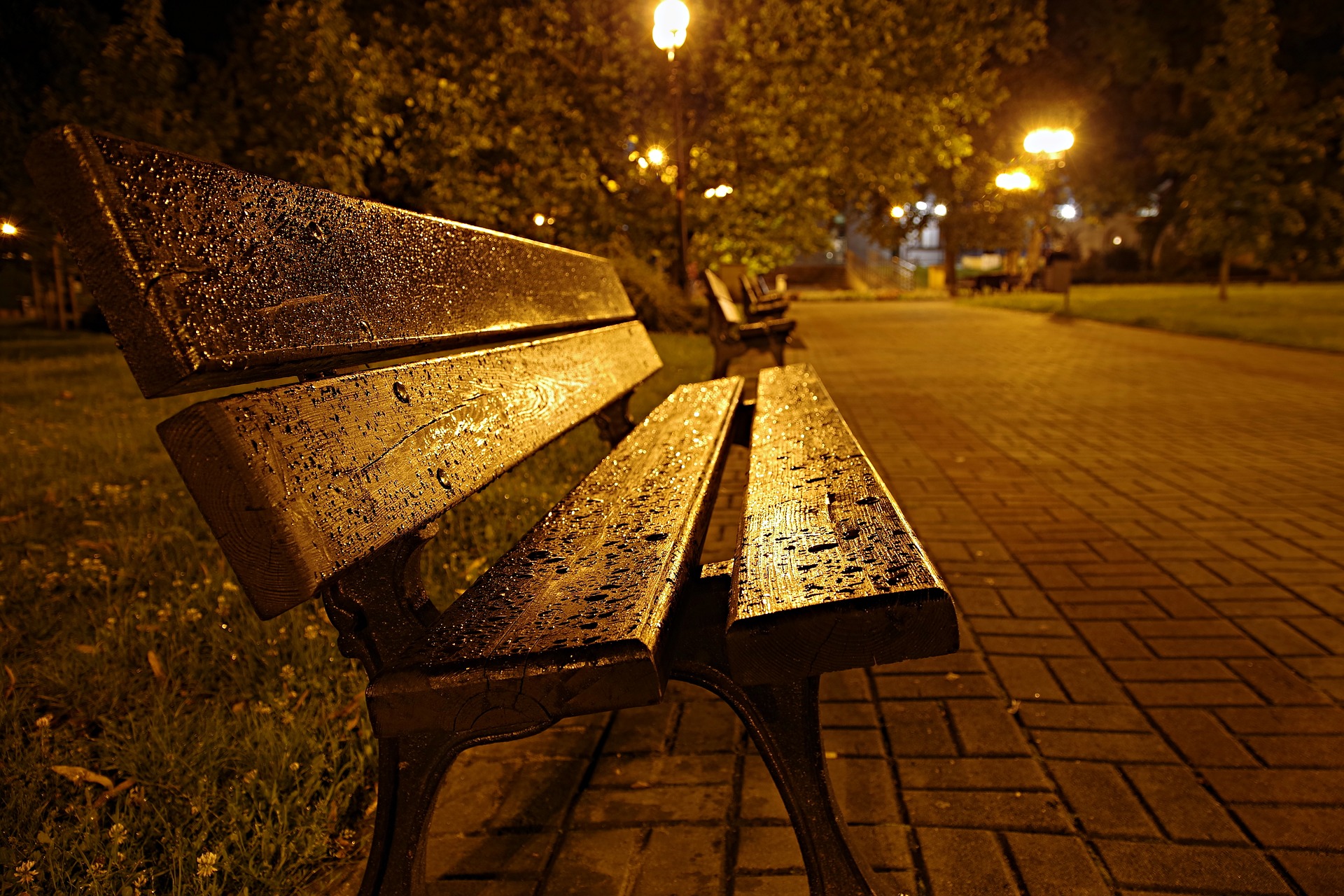 bench-2525080_1920.jpg