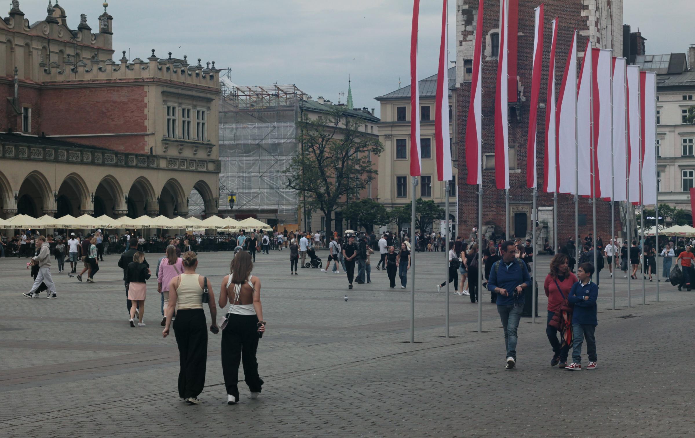 IMG_7036-crop.JPG