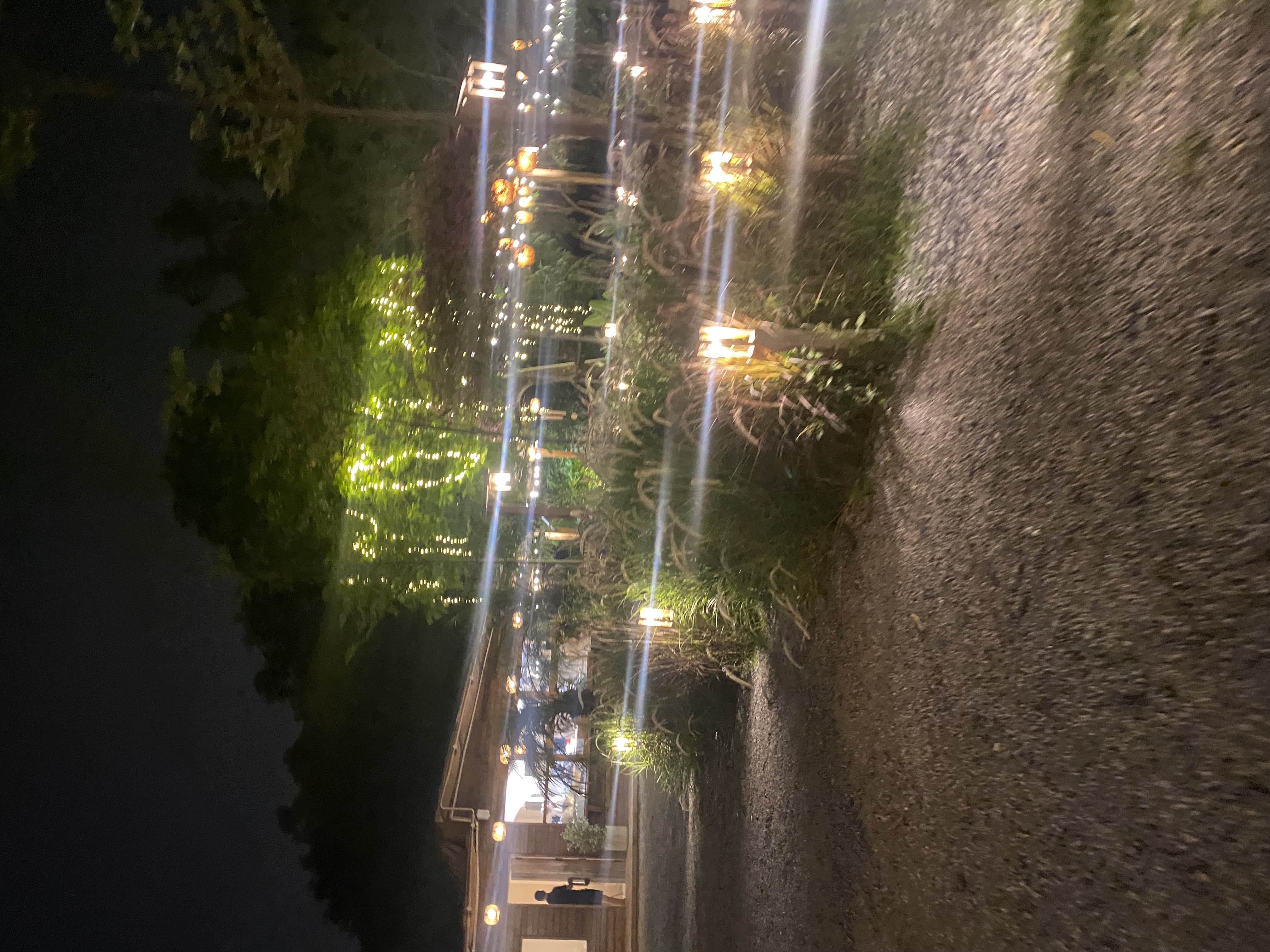IMG_7553.jpeg