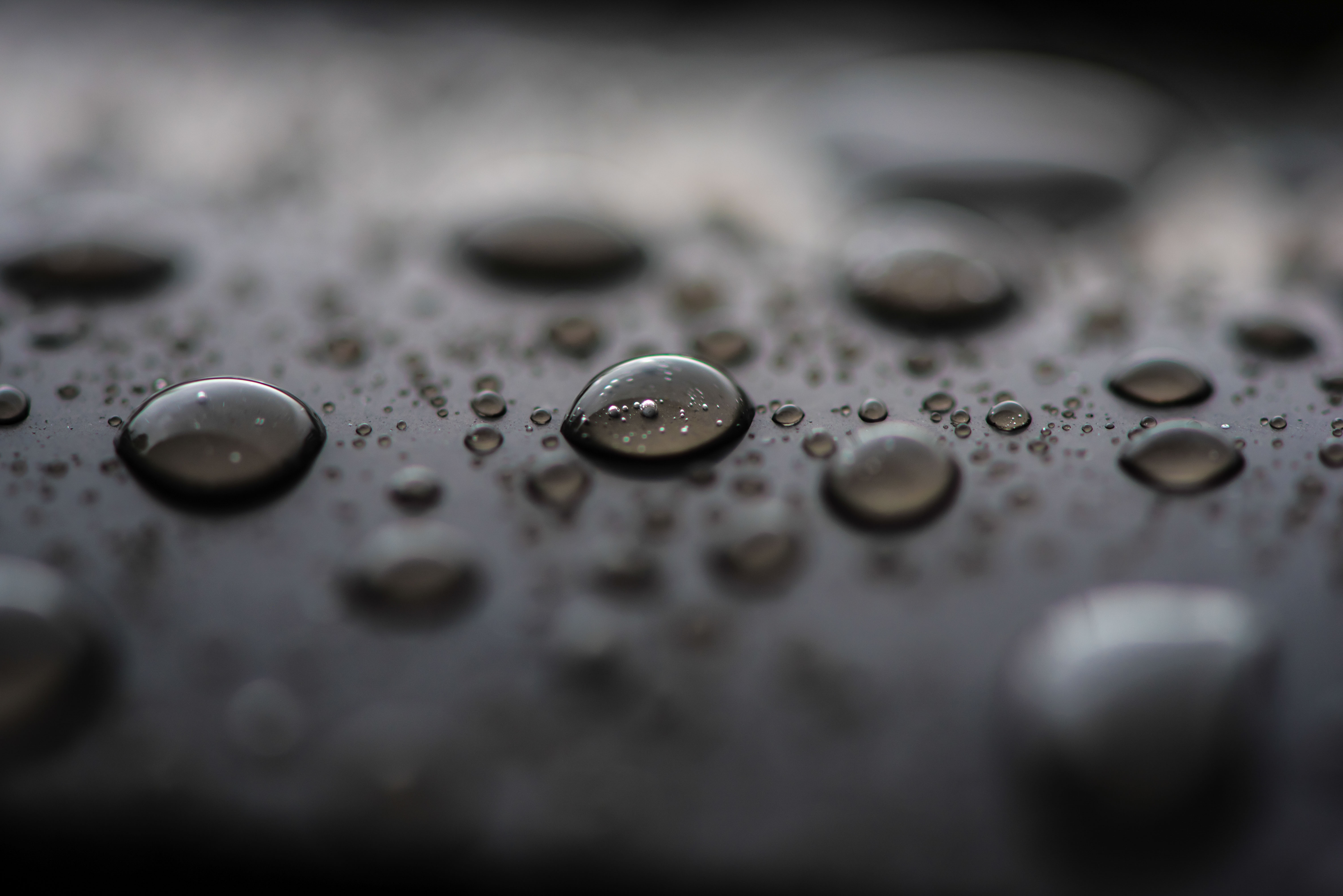 DSC_4347-2.jpg