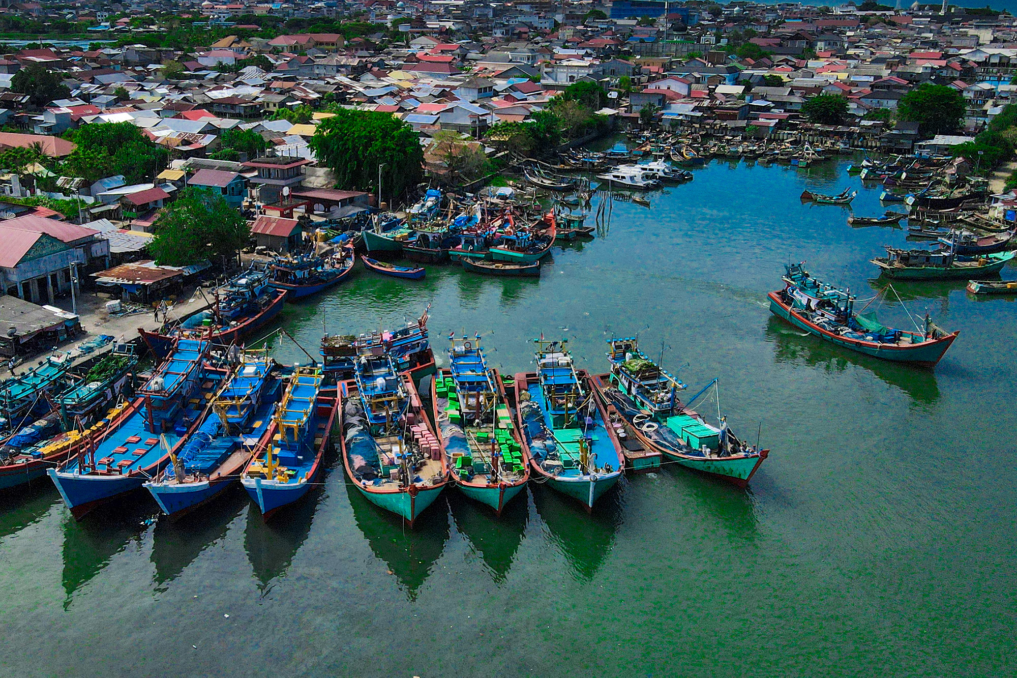 dji_fly_photo (6).jpg