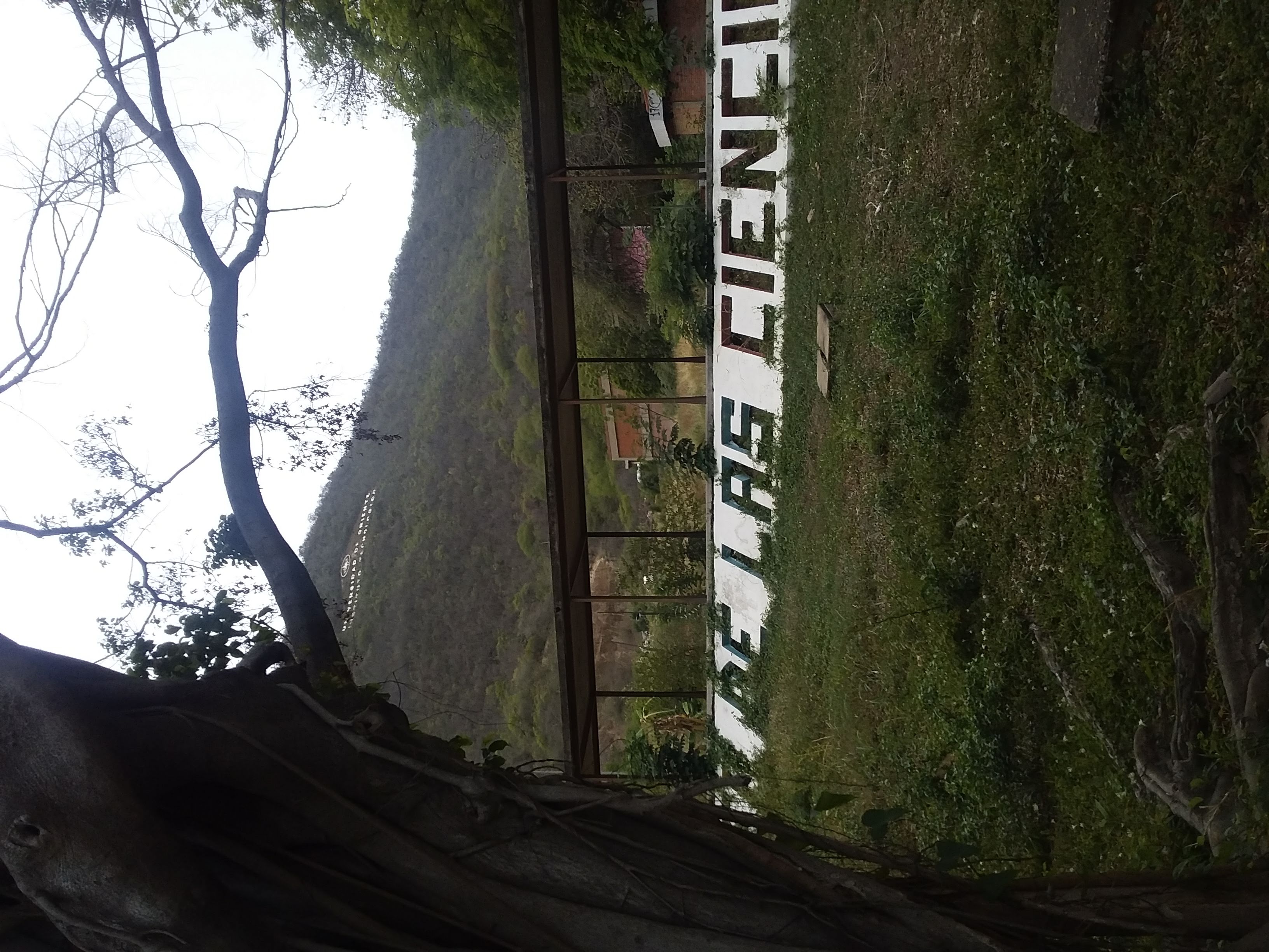 20220310_111331.jpg