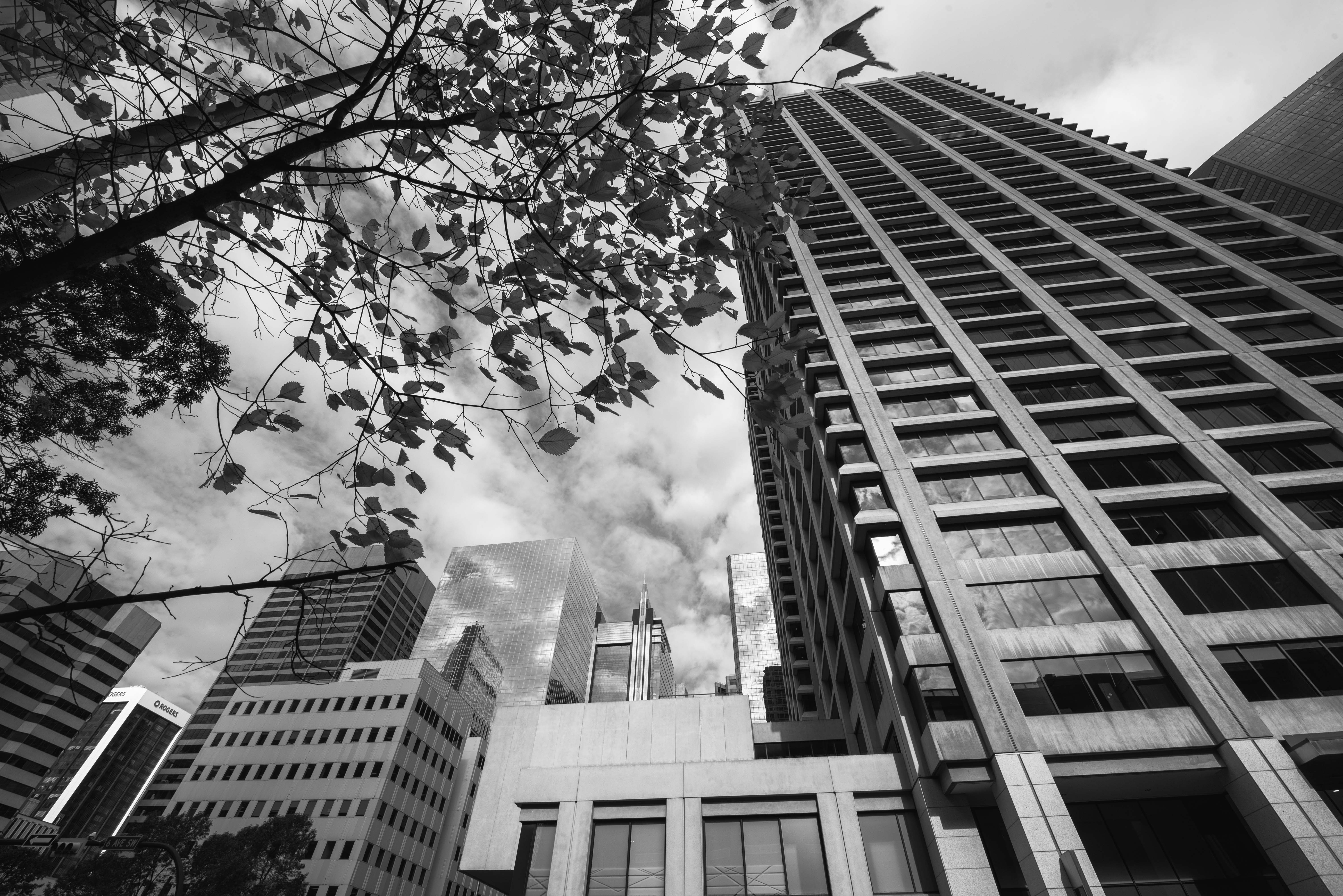 DSC_9788-Edit.jpg