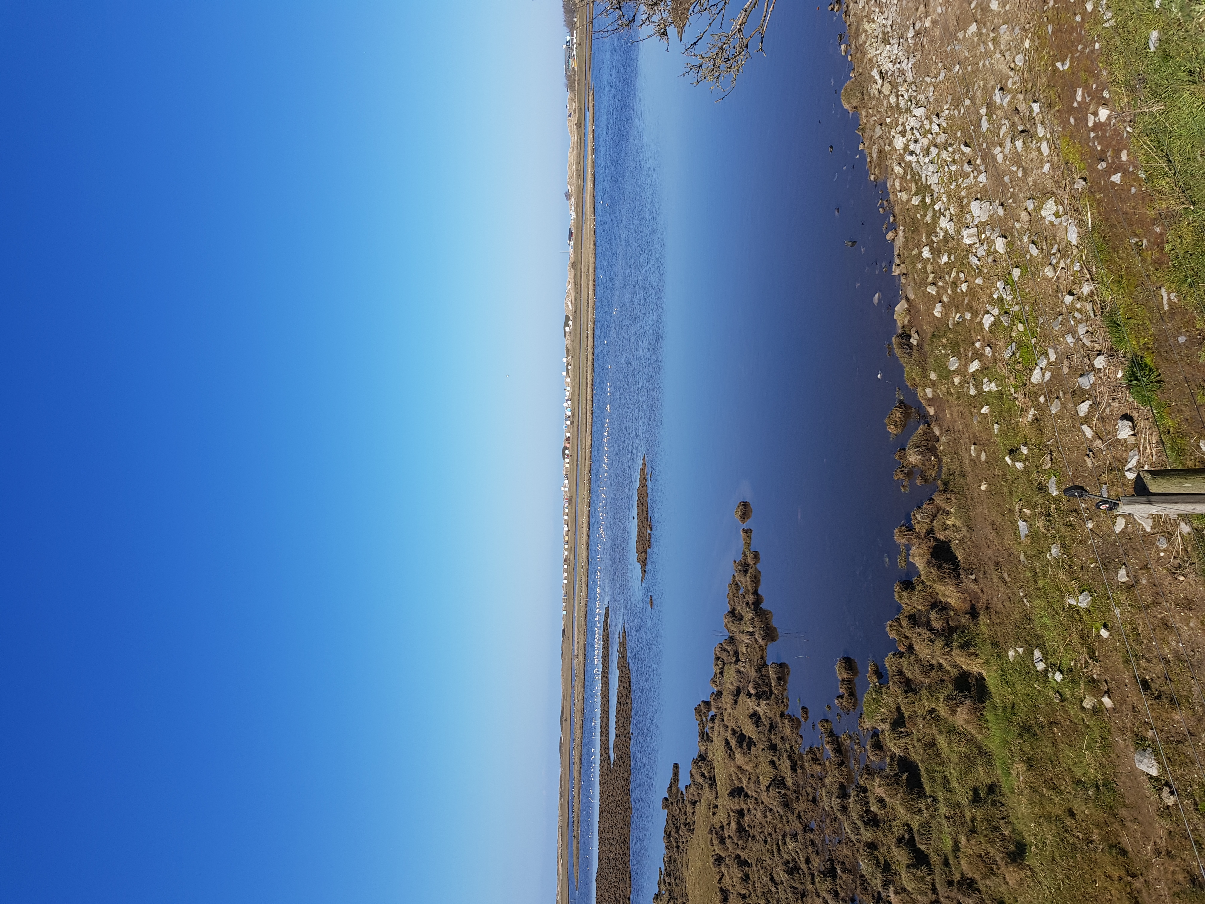 20190415_104143.jpg