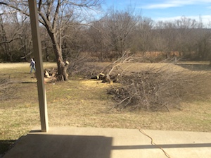 yard4JPG.JPG