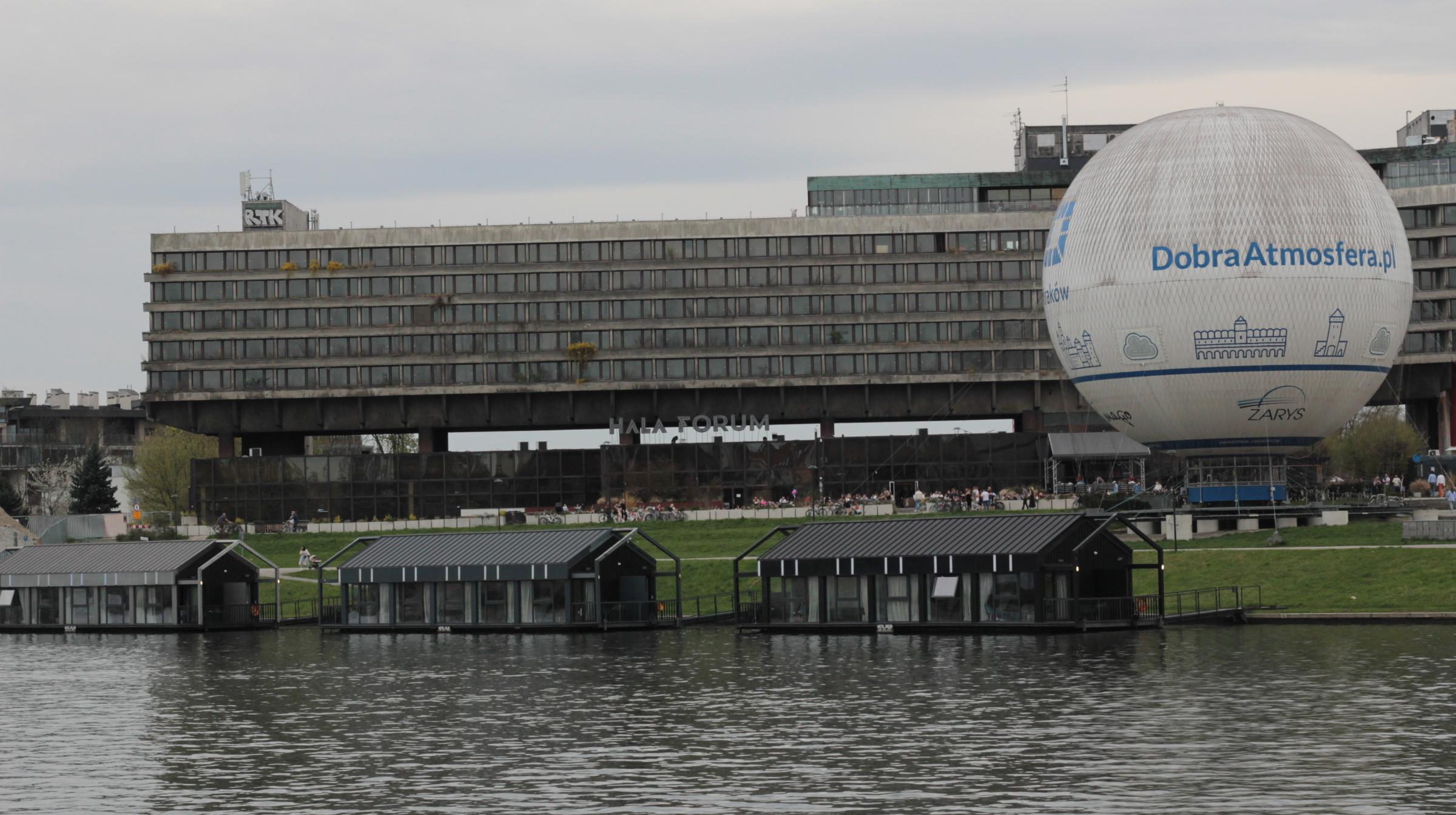 IMG_6318-crop.JPG