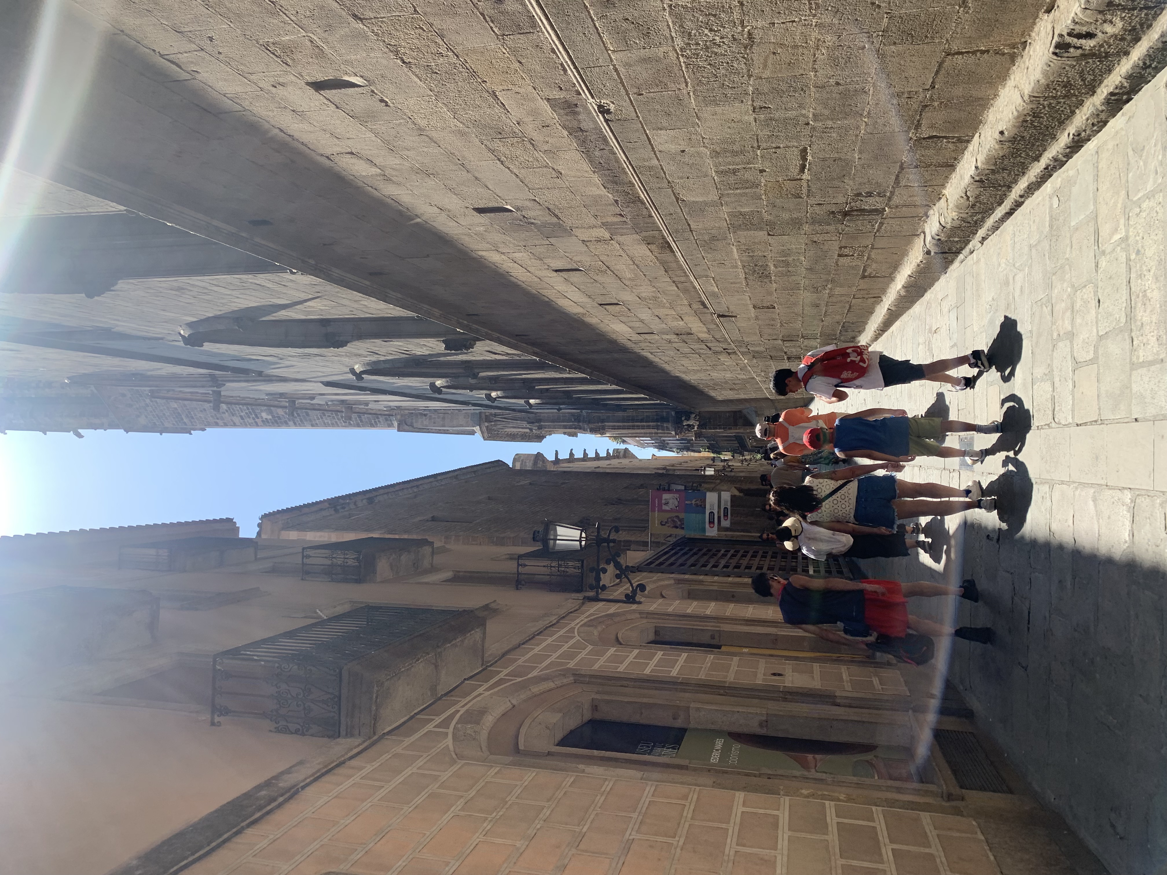 IMG_1924.jpeg