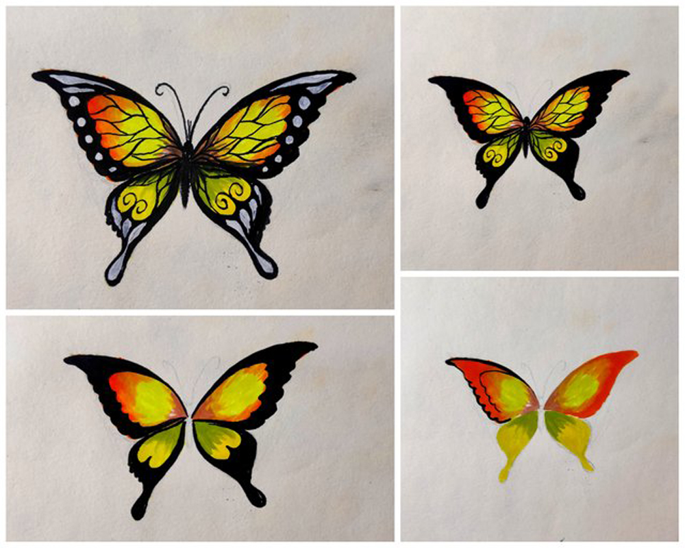 Easy Draw Butterfly Step Step For Beginners | by Maheen Naveed | Medium