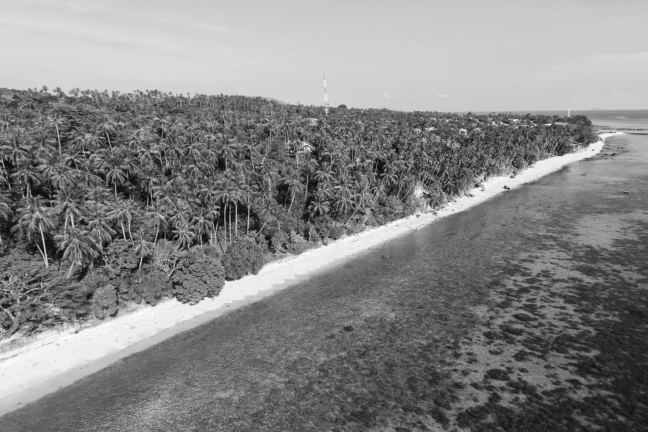 image9-01-min.jpeg