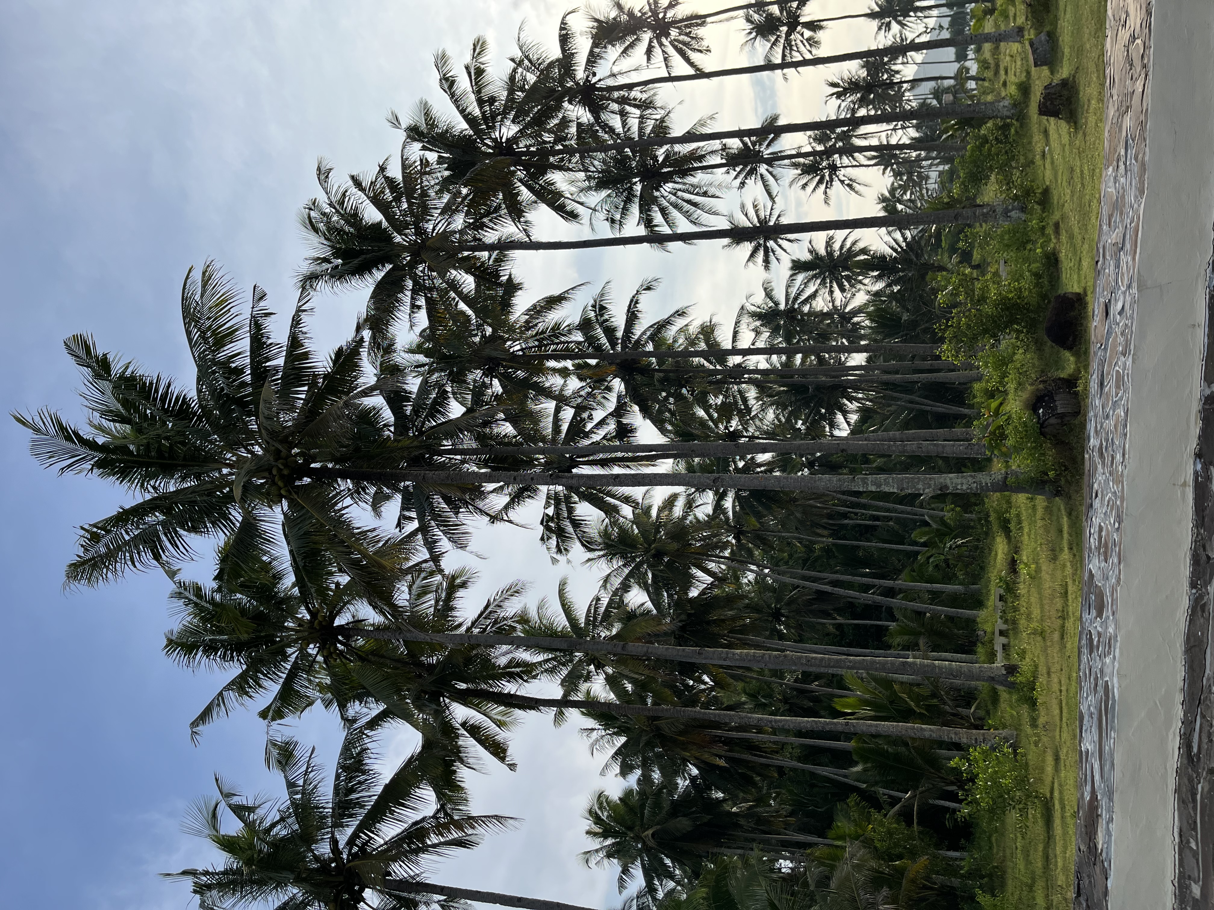 IMG_0731.jpeg