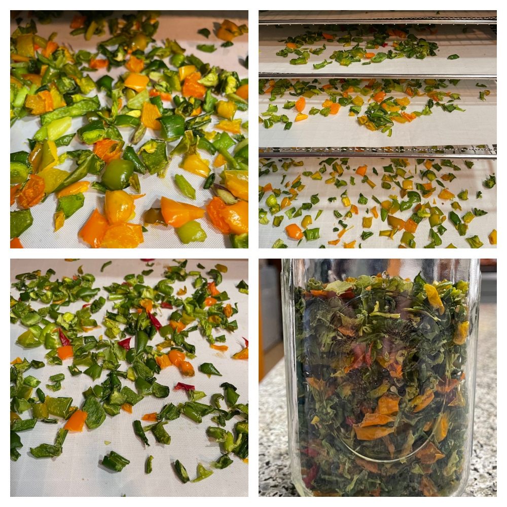 https://images.hive.blog/DQmeyzfVhYsiYG3ipf49spSSK8uSsBUpah2x48LCnEpv3N2/foodiesbeehive-dehydrated-peppers.jpg