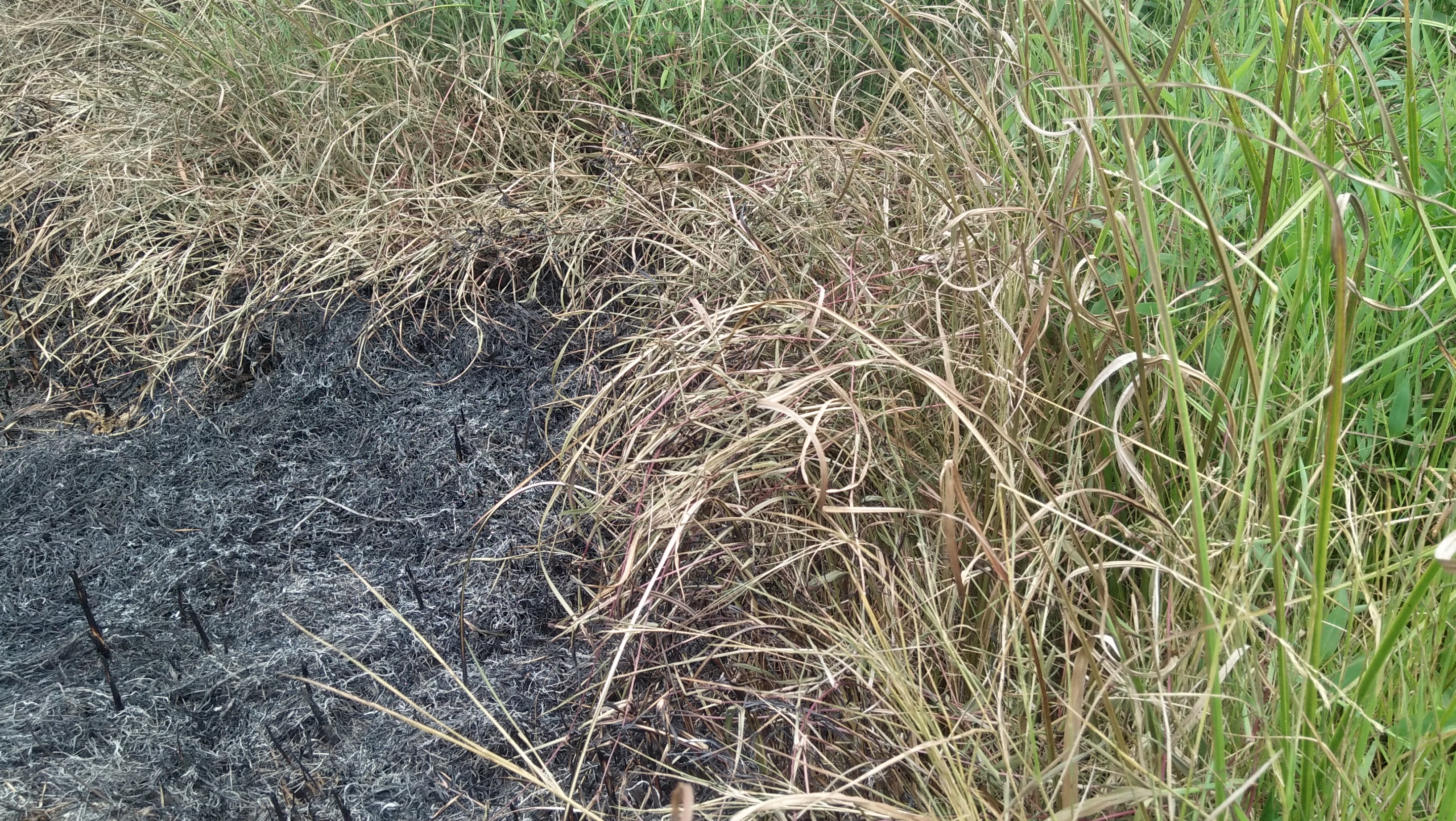 IMG20230502105128.jpg
